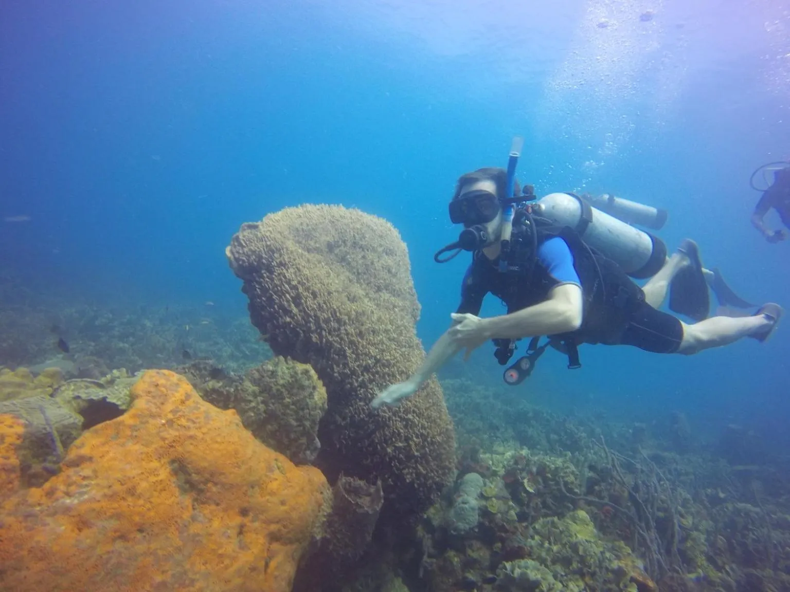 Diving in Hotel San Pedro de Majagua
