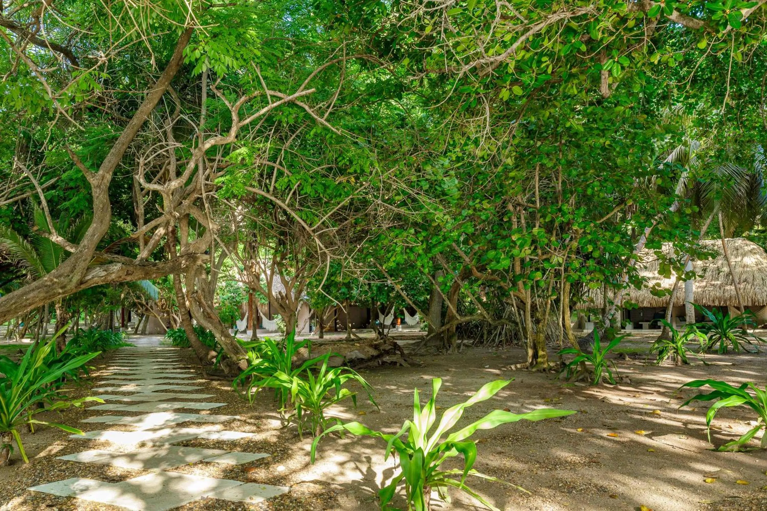 Hotel San Pedro de Majagua