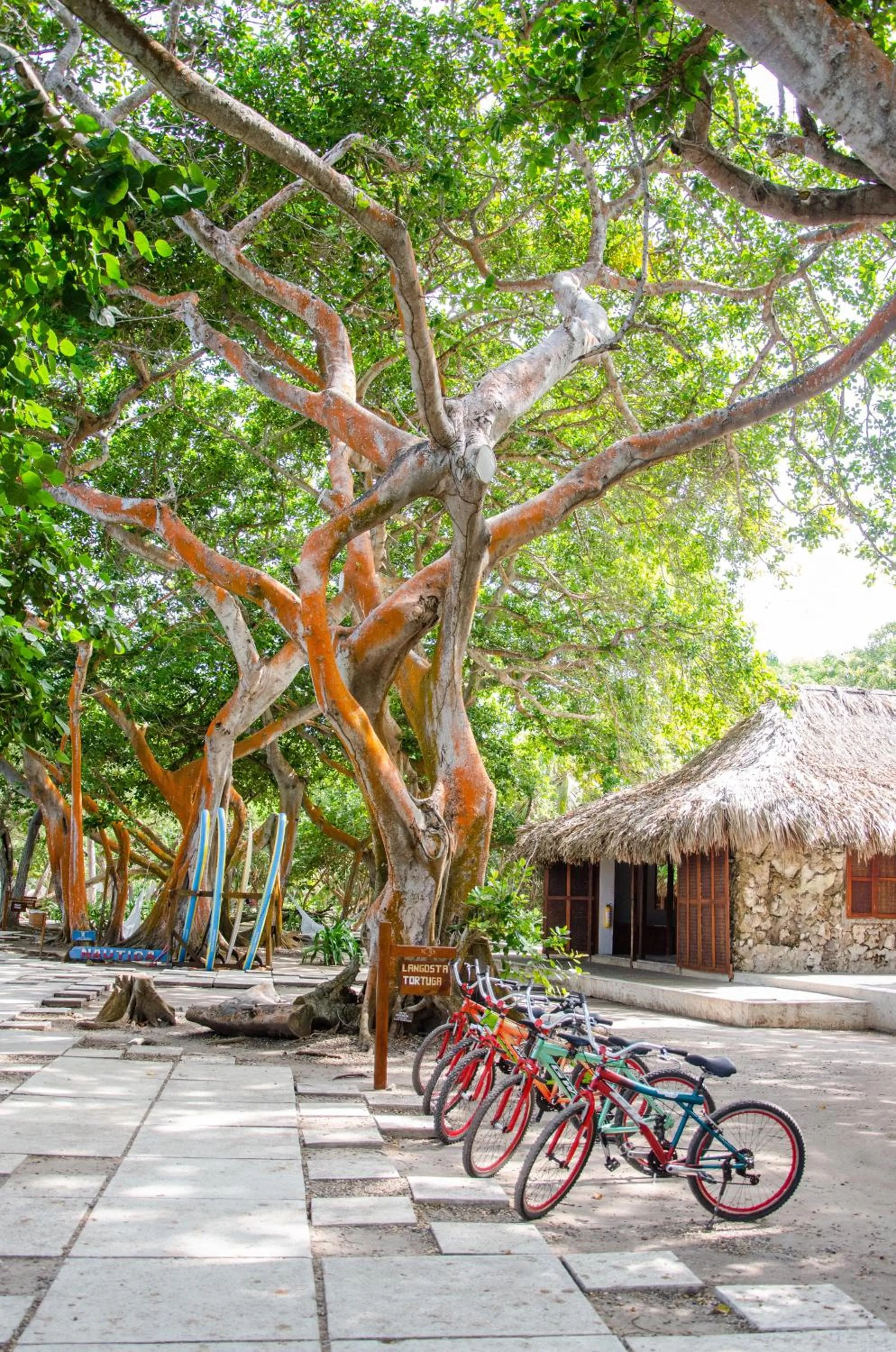 Activities in Hotel San Pedro de Majagua