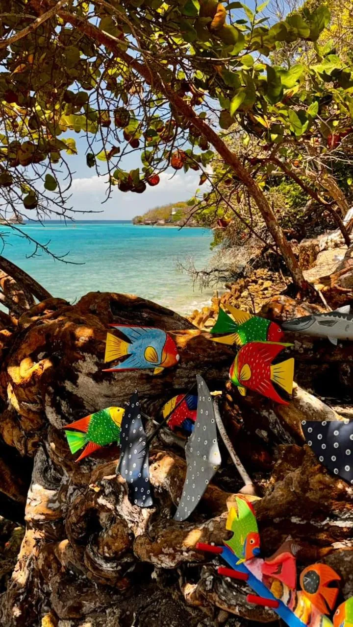 Hotel San Pedro de Majagua