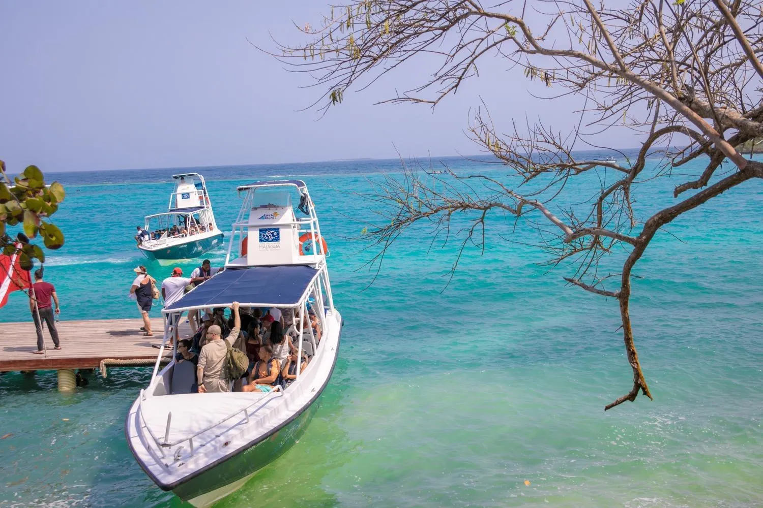 Natural landscape in Hotel San Pedro de Majagua