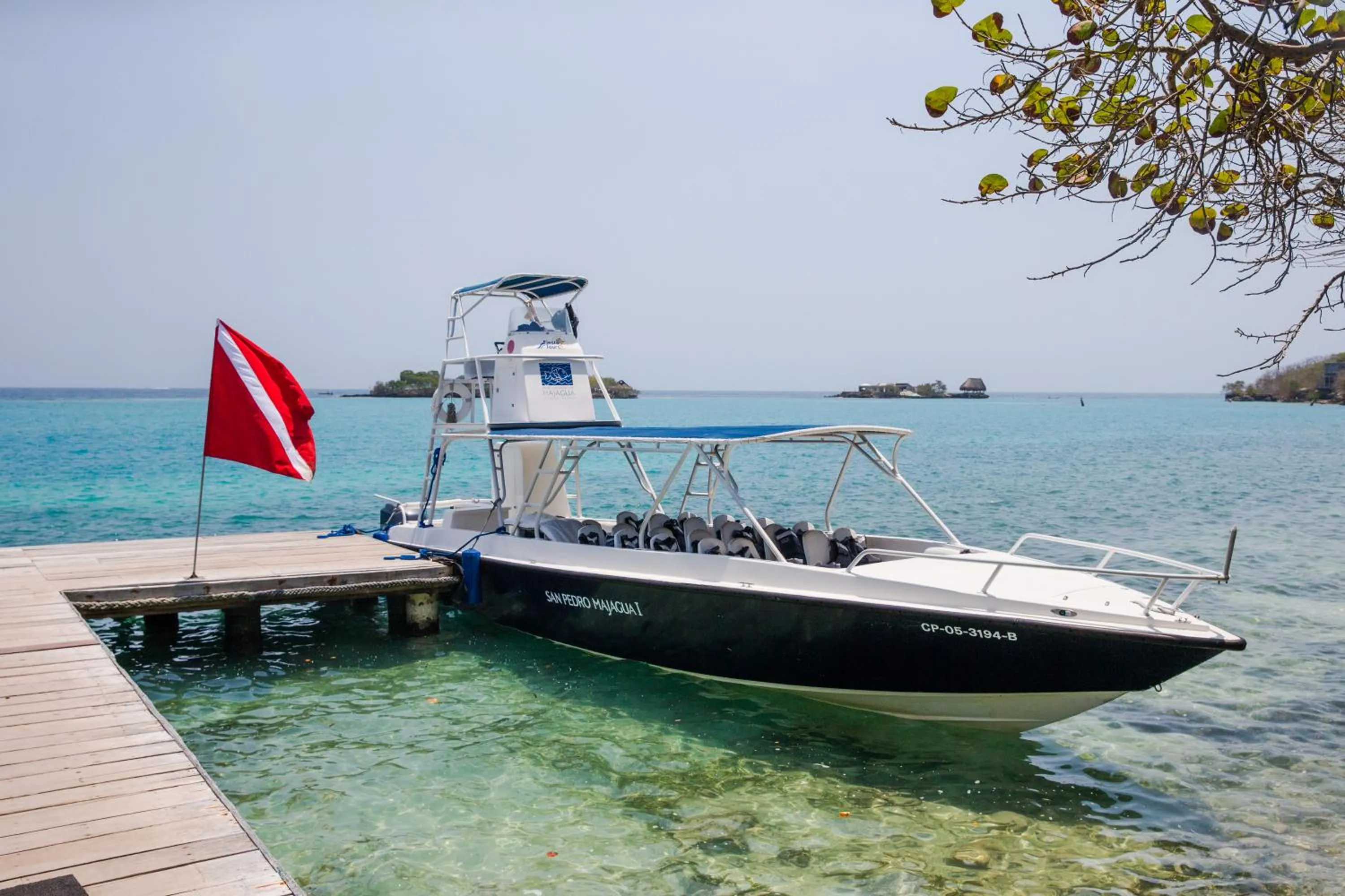 View (from property/room) in Hotel San Pedro de Majagua