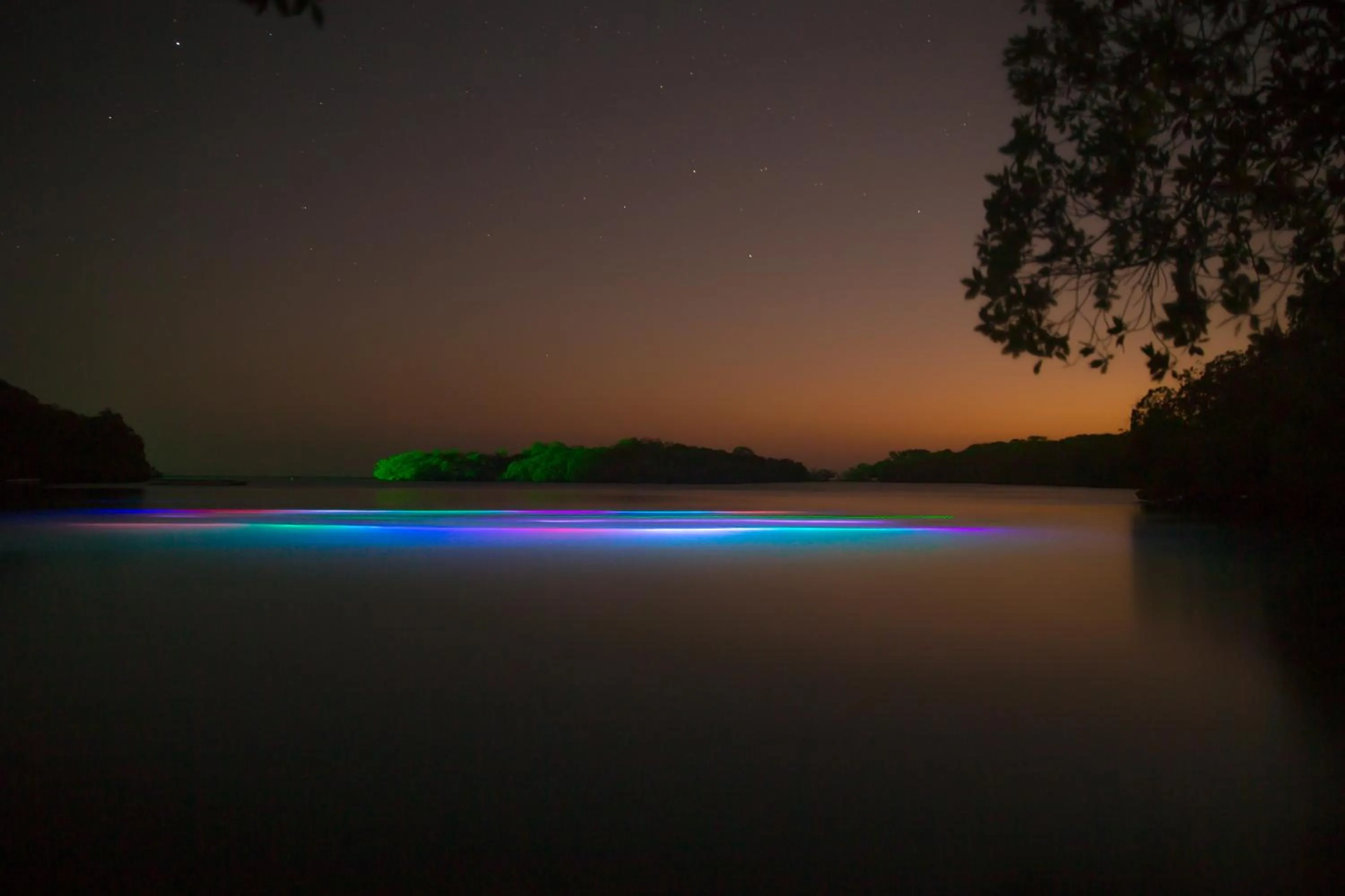 View (from property/room) in Hotel San Pedro de Majagua