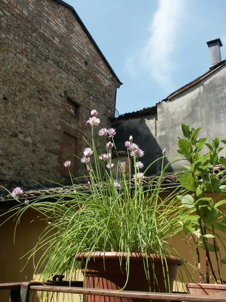 Property building in Albergo Corona