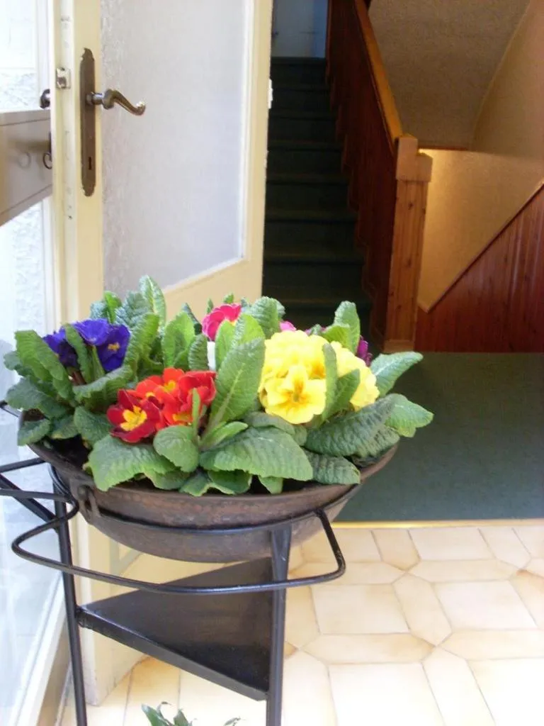 Decorative detail in Albergo Corona