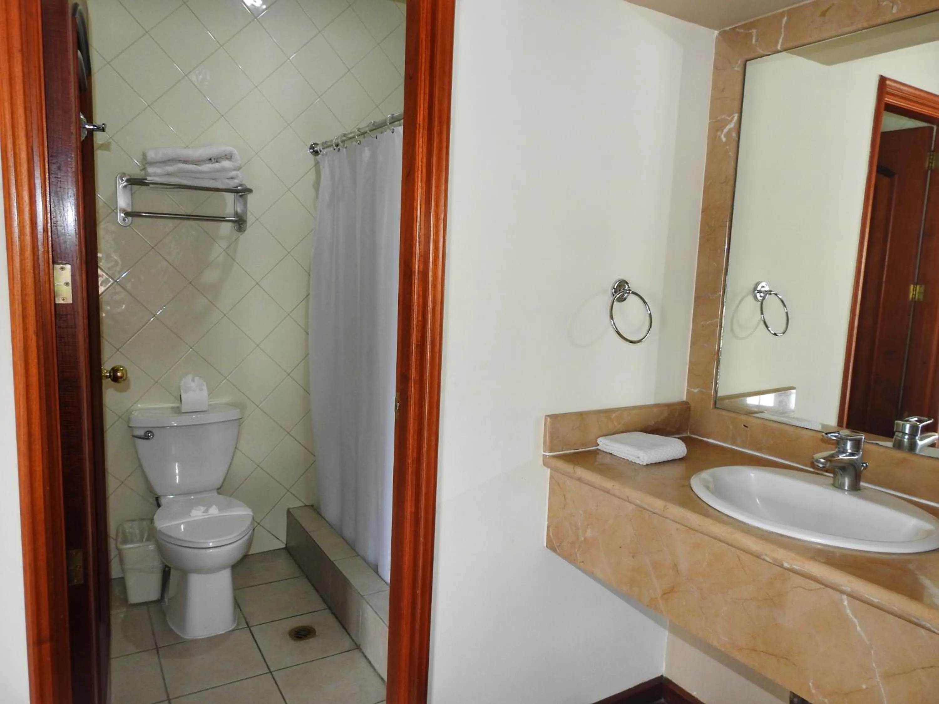 Bathroom in Hotel San Carlos