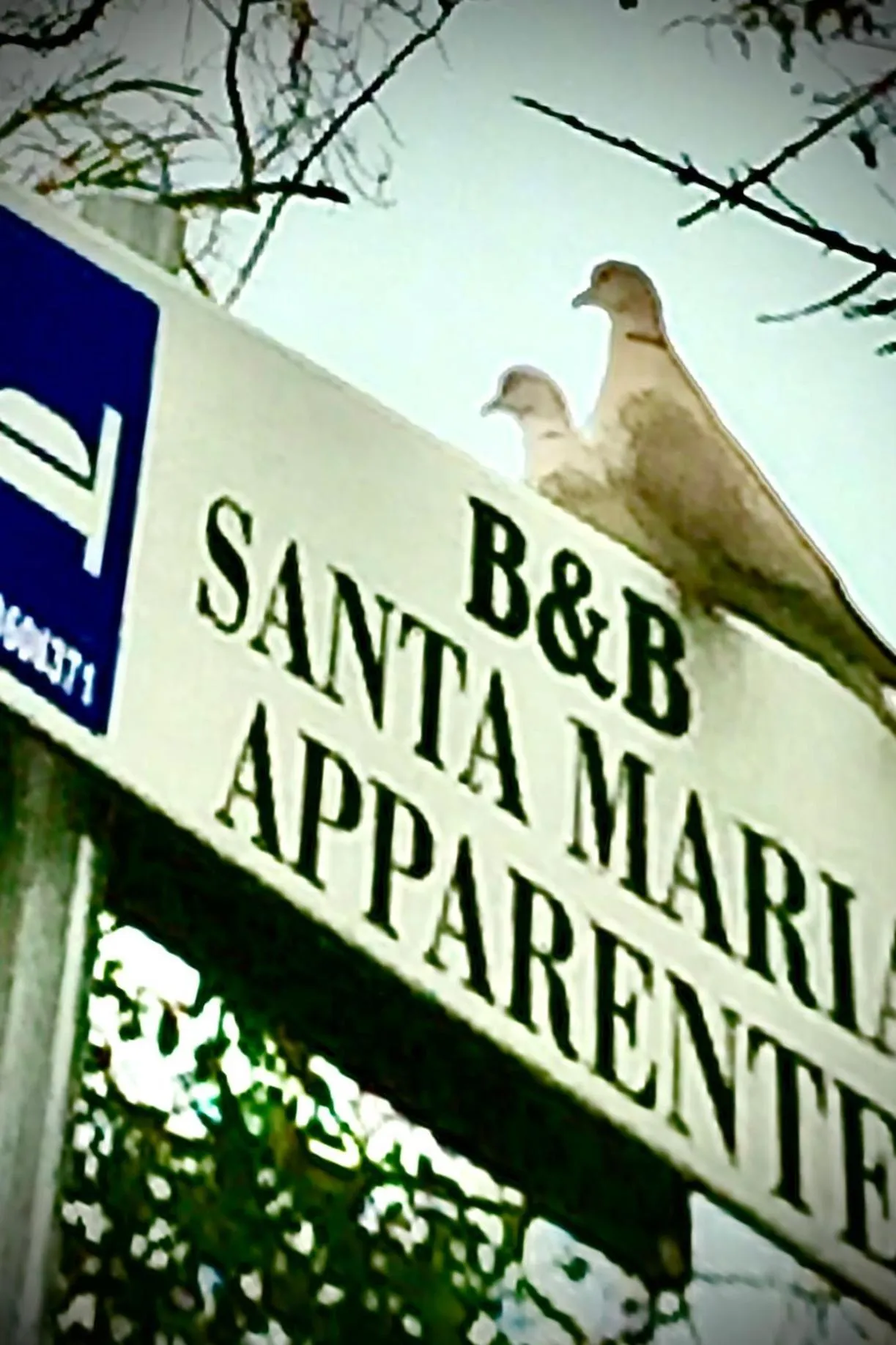 MONOLOCALI B&B Santa Maria Apparente