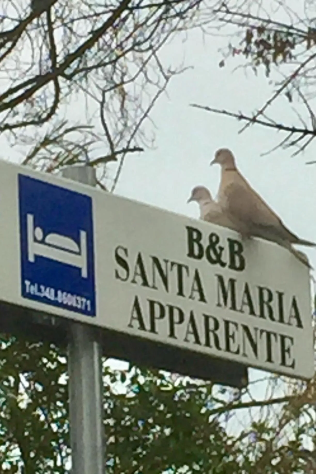 Logo/Certificate/Sign in MONOLOCALI B&B Santa Maria Apparente