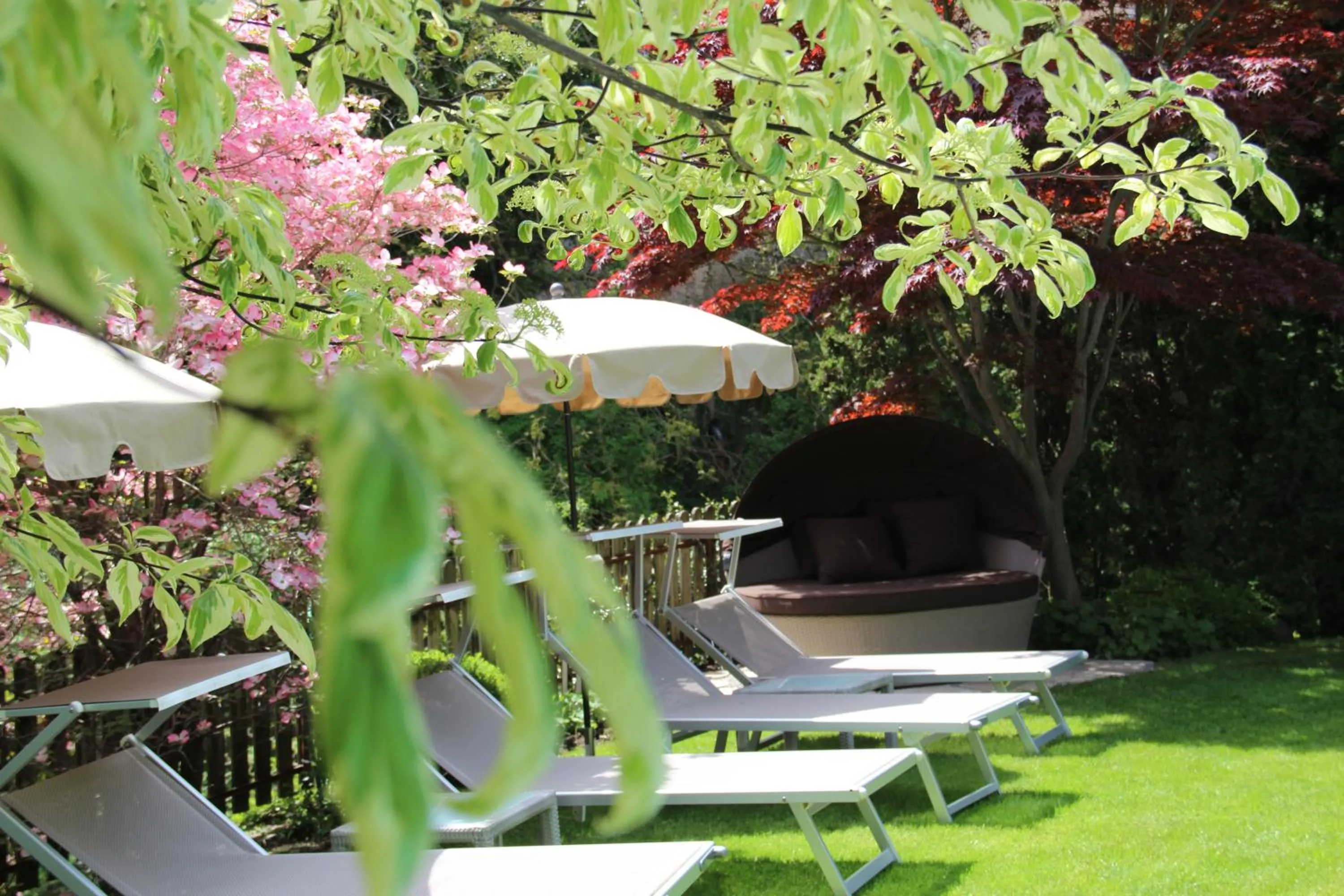 Swimming pool in Hotel Zum Mohren