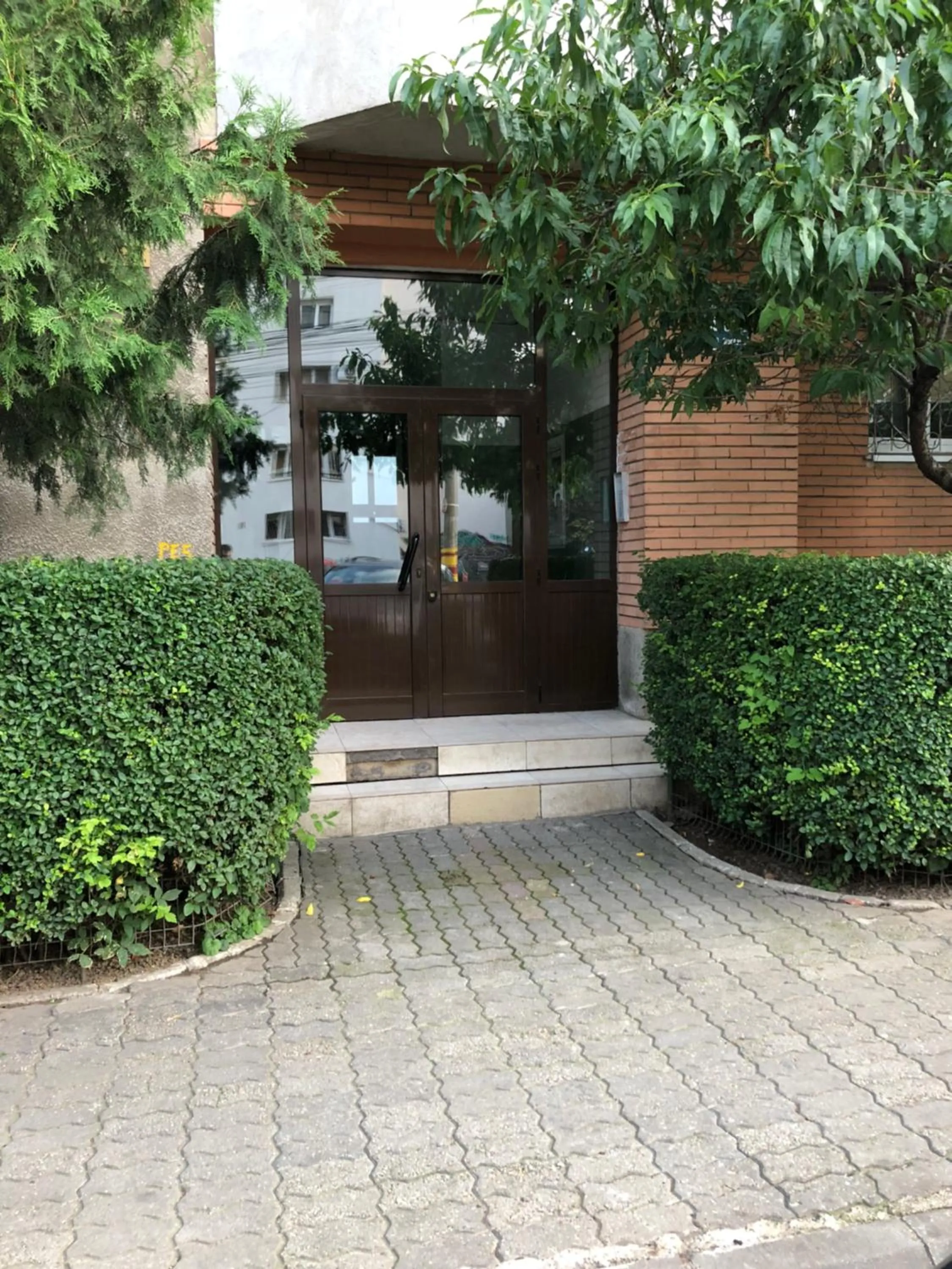 Patio in Green Apartment 59