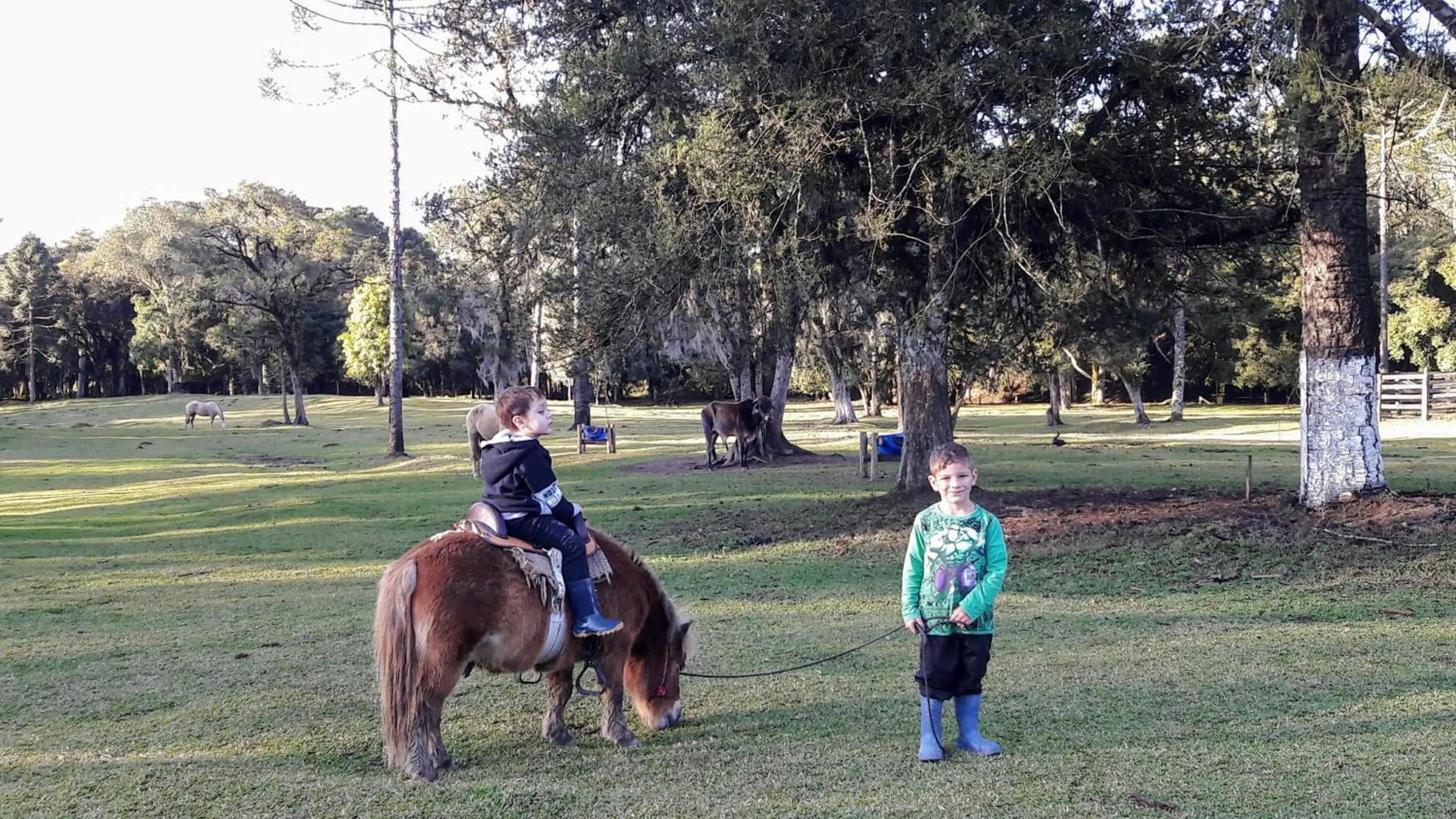 Horse-riding in Pousada Recanto dos Pôneis Rio Rufino Urubici