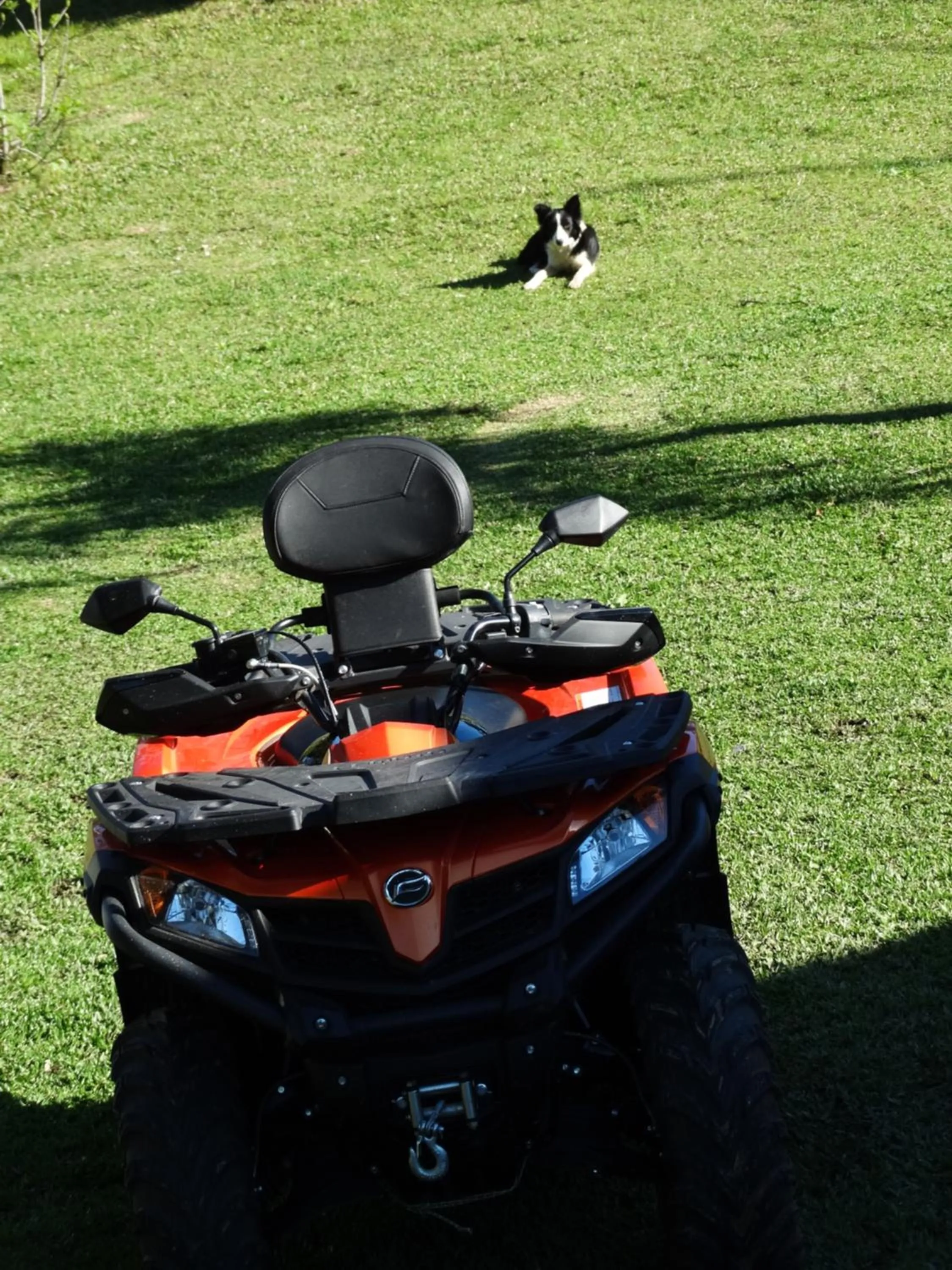 Garden view in Pousada Recanto dos Pôneis Rio Rufino Urubici