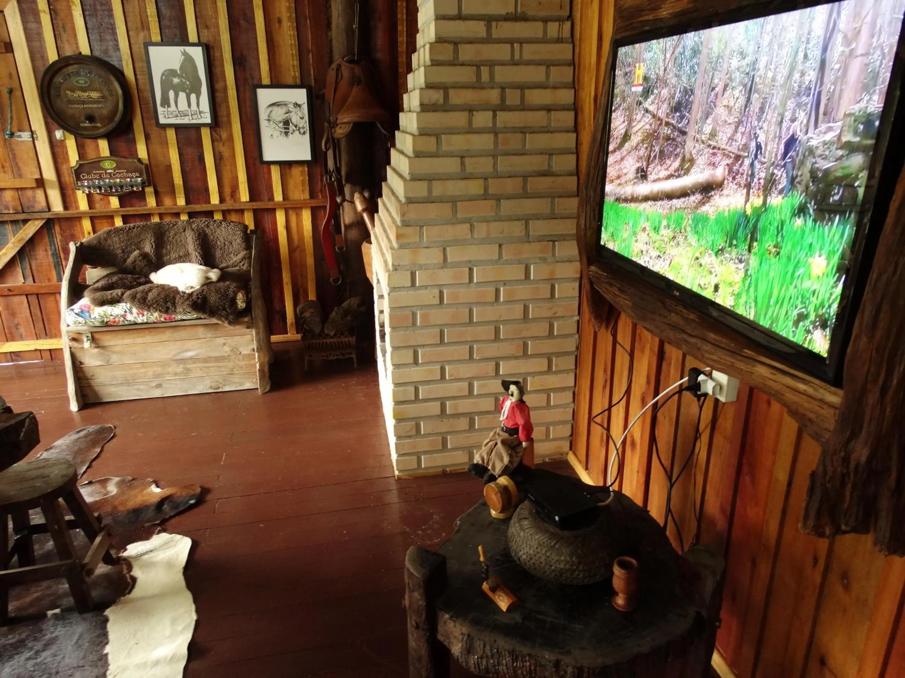 TV and multimedia in Pousada Recanto dos Pôneis Rio Rufino Urubici