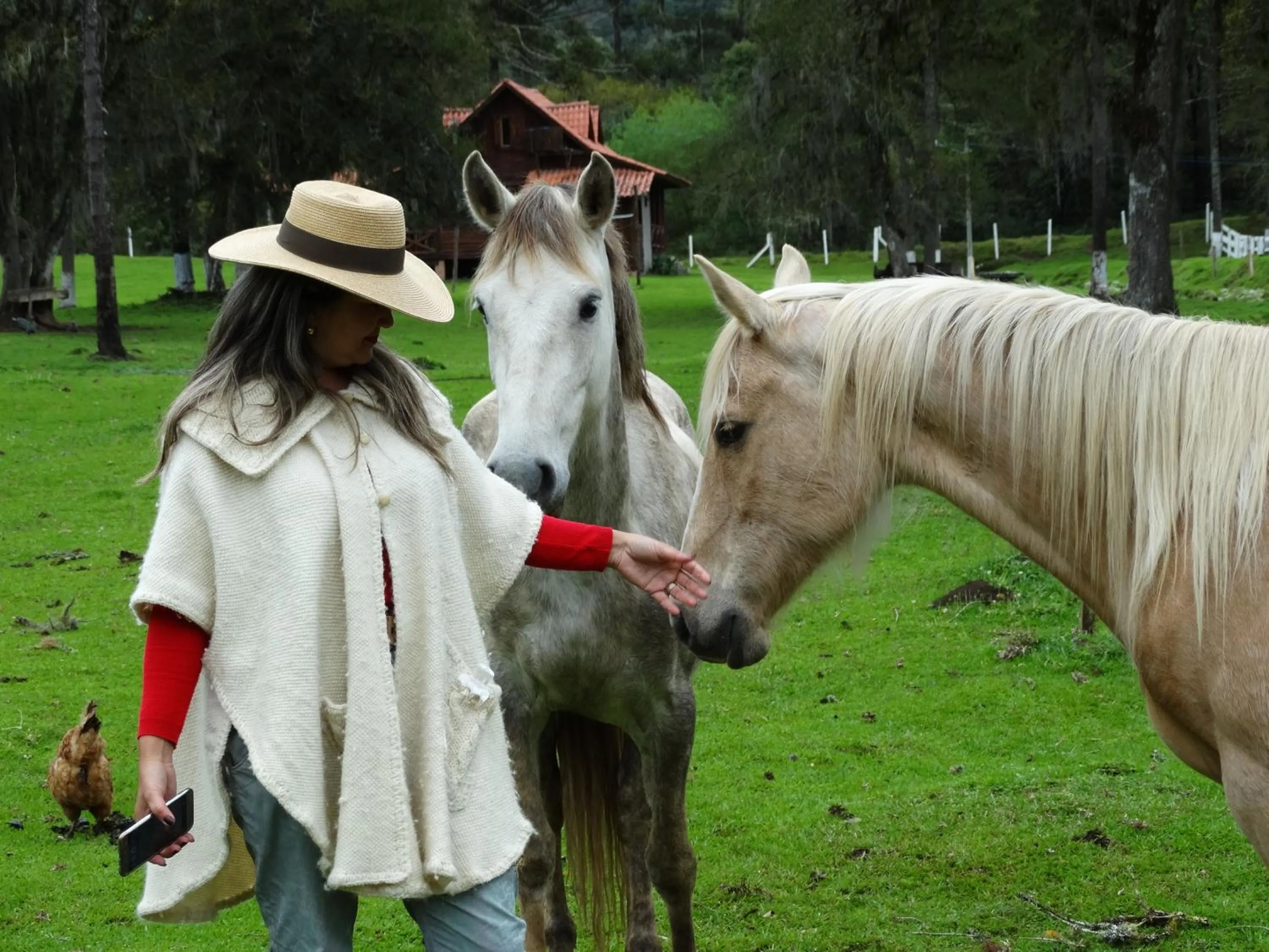 People in Pousada Recanto dos Pôneis Rio Rufino Urubici
