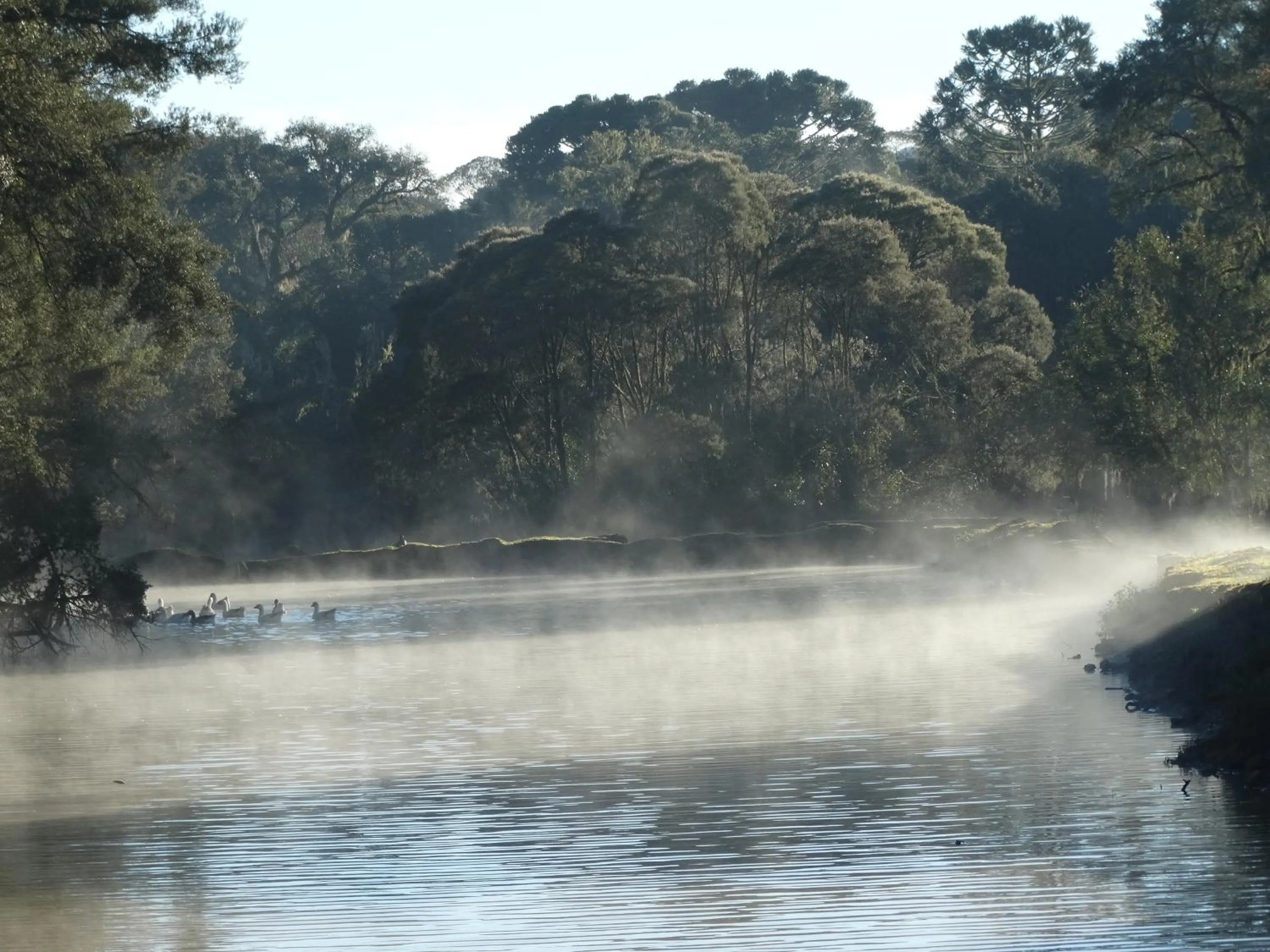 Natural landscape in Pousada Recanto dos Pôneis Rio Rufino Urubici