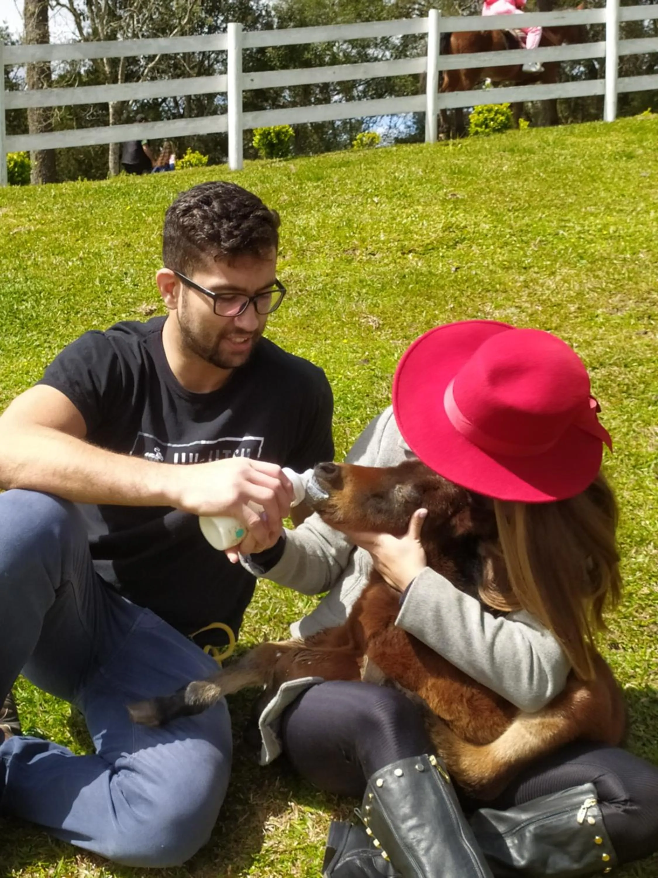 Animals in Pousada Recanto dos Pôneis Rio Rufino Urubici