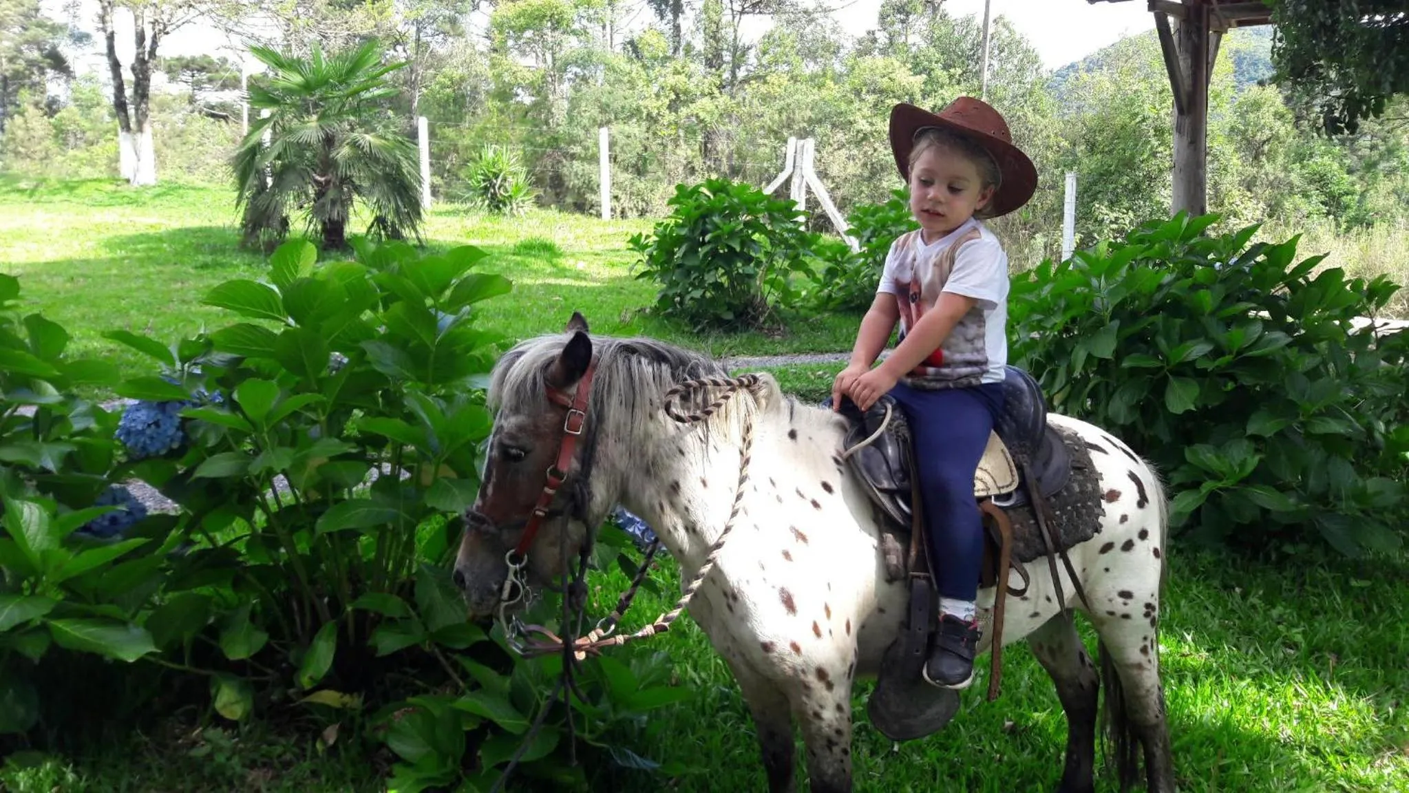 Horse-riding in Pousada Recanto dos Pôneis Rio Rufino Urubici