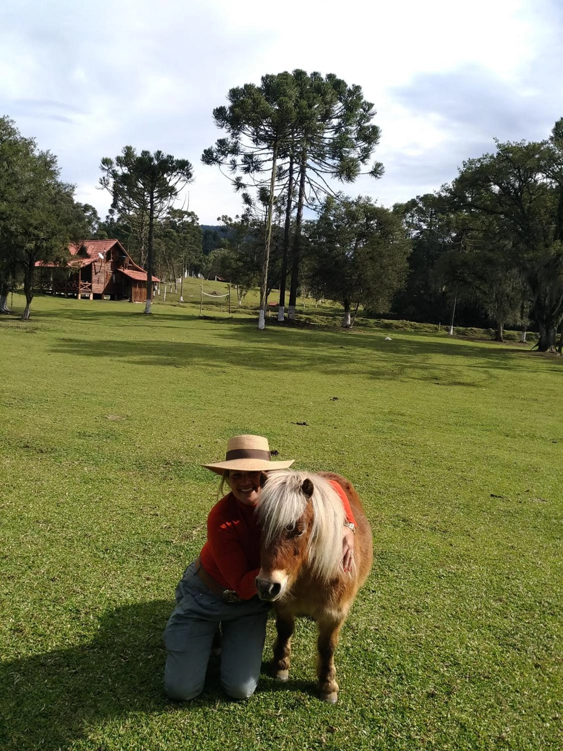 Animals in Pousada Recanto dos Pôneis Rio Rufino Urubici