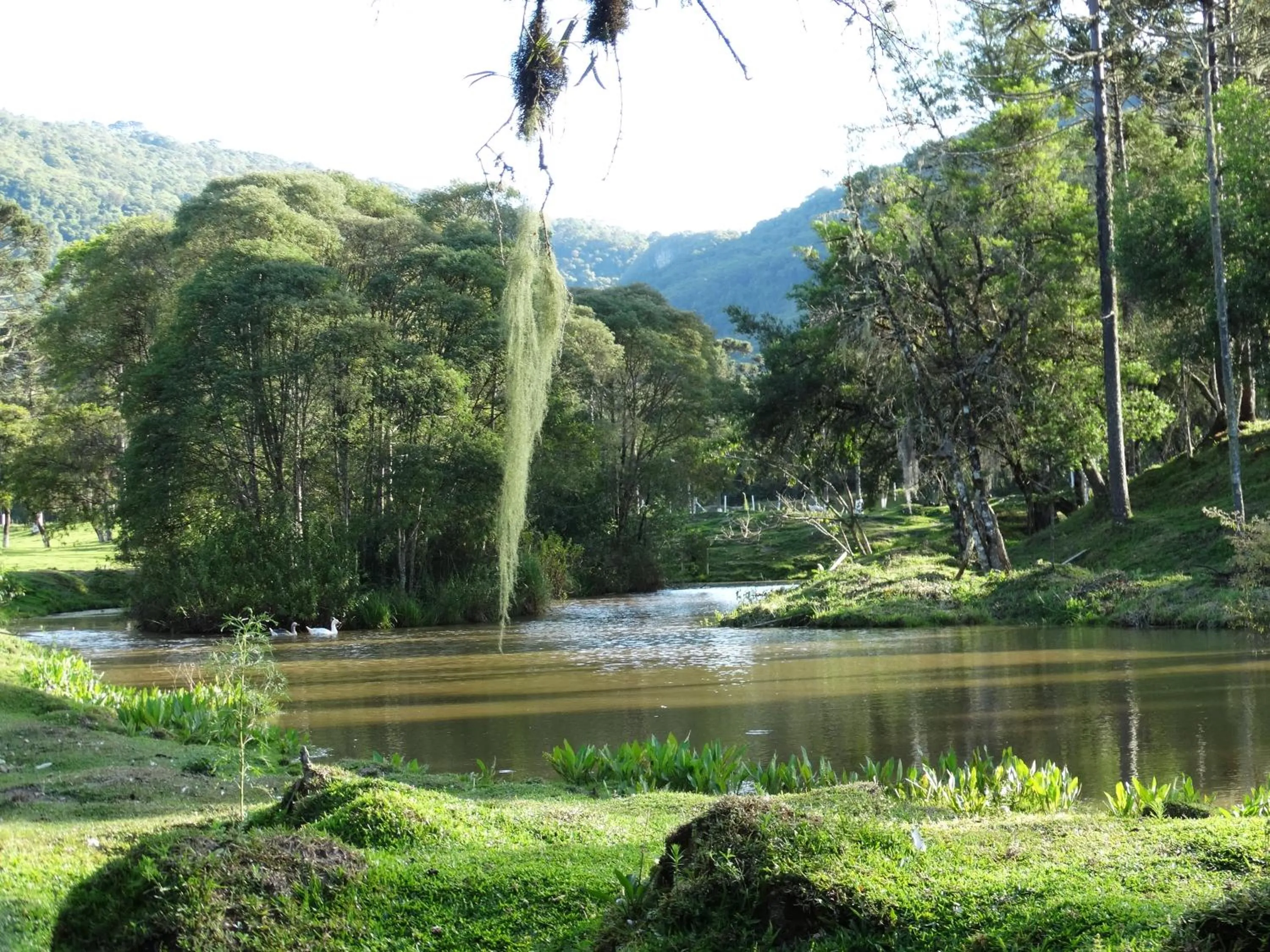 Natural landscape in Pousada Recanto dos Pôneis Rio Rufino Urubici