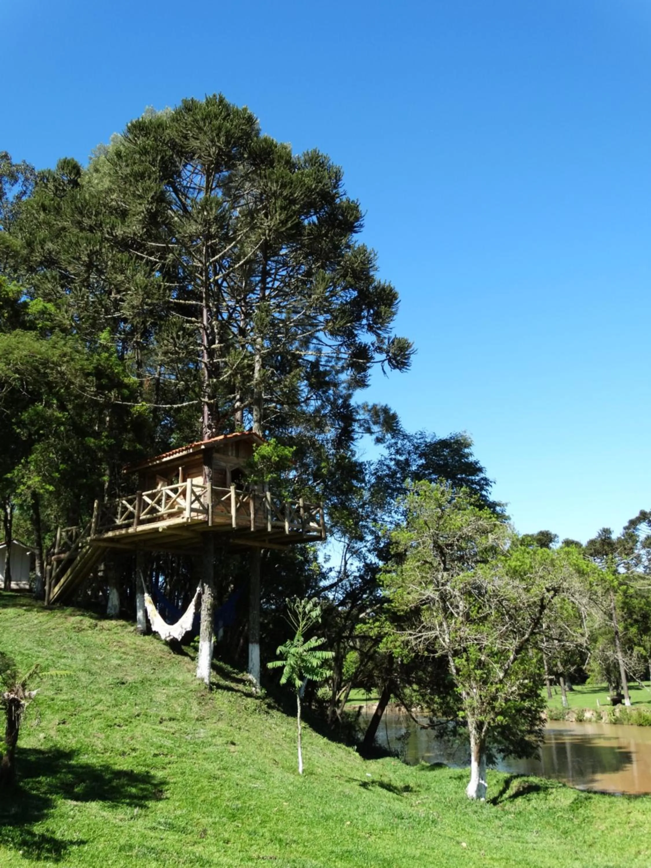 Natural landscape in Pousada Recanto dos Pôneis Rio Rufino Urubici