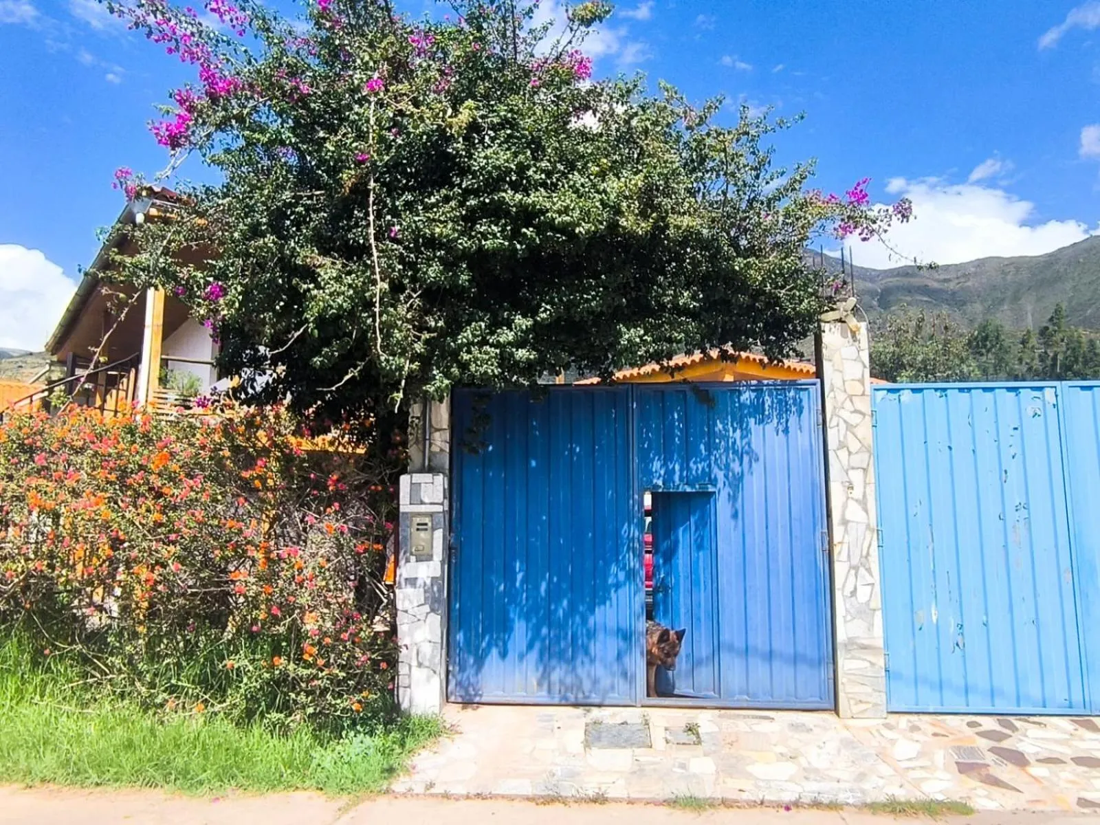 Facade/entrance in Schatzi Lodge
