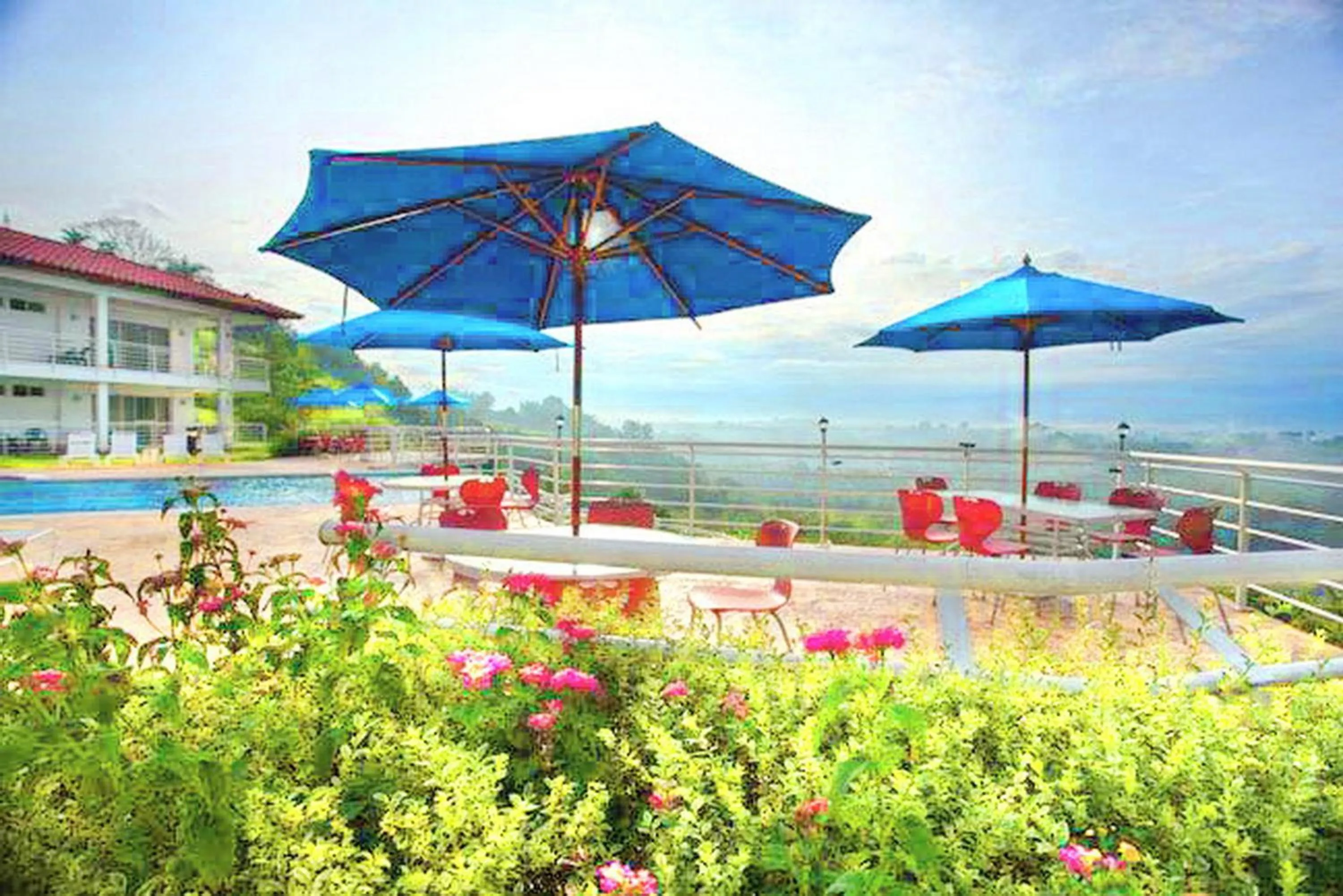 Garden in Hotel Mirador Las Palmas