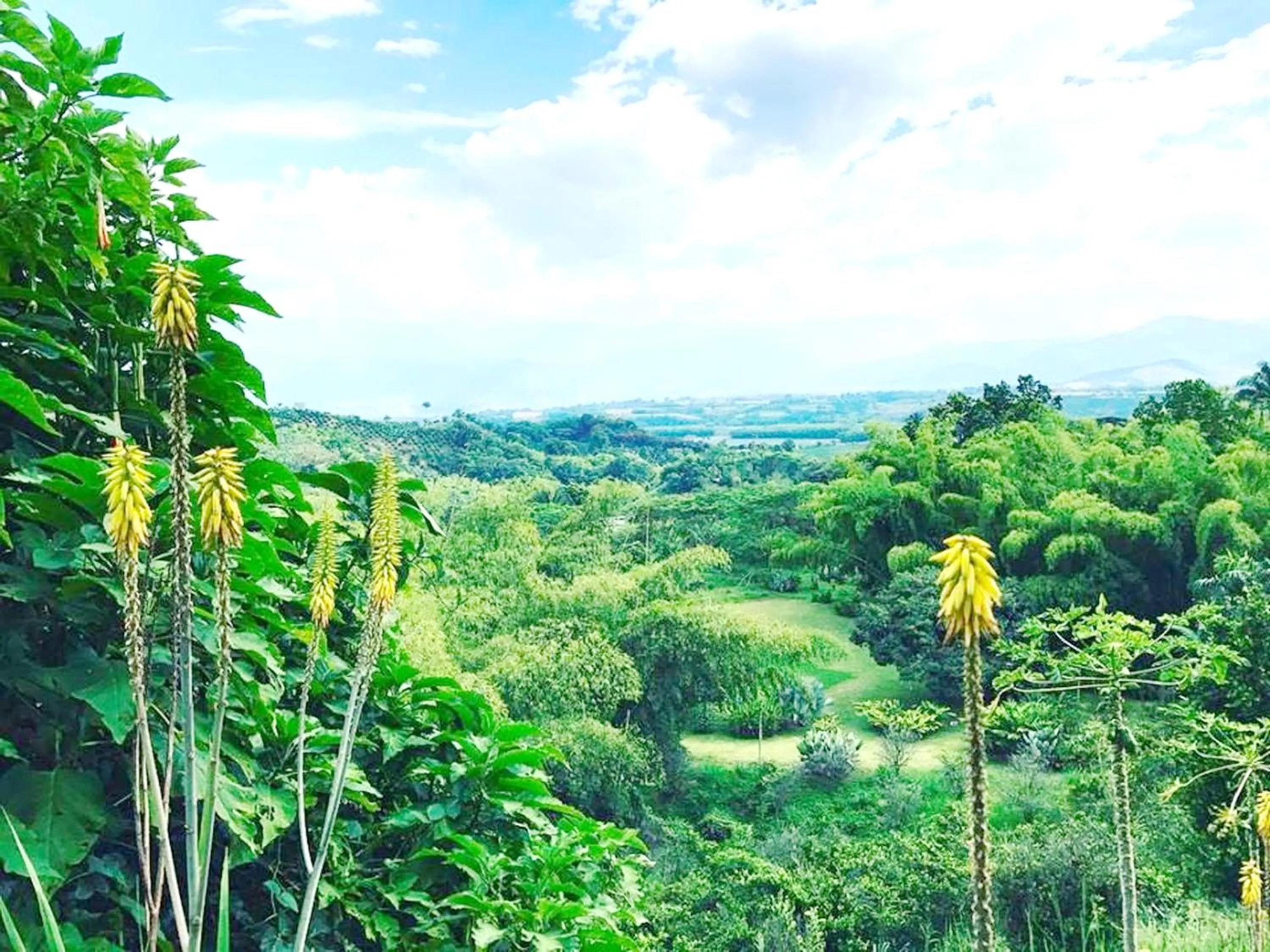 Garden view in Hotel Mirador Las Palmas