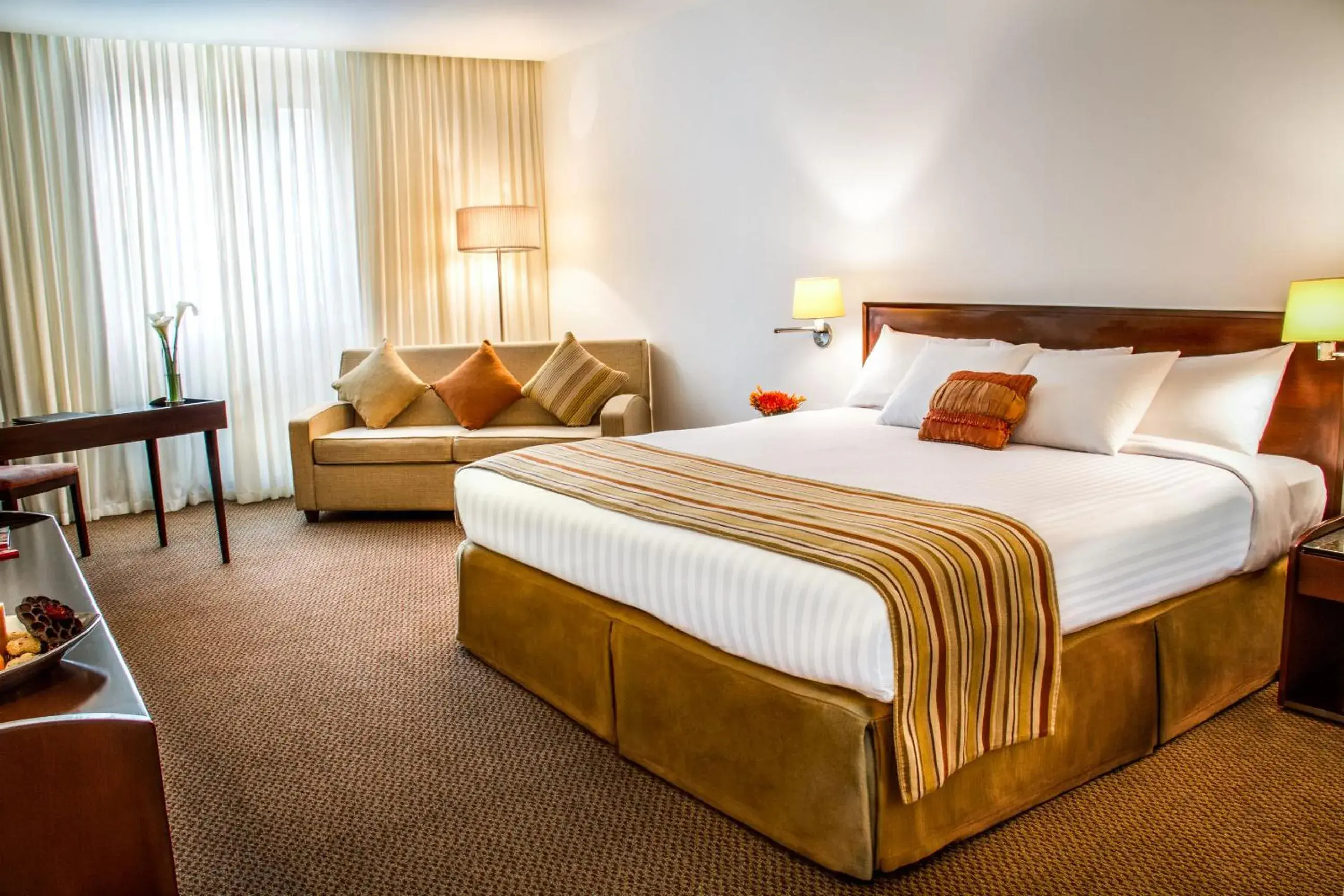 Executive Suite - single occupancy in Lidotel San Cristóbal Executive Suite - single occupancy in Lidotel San Cristóbal