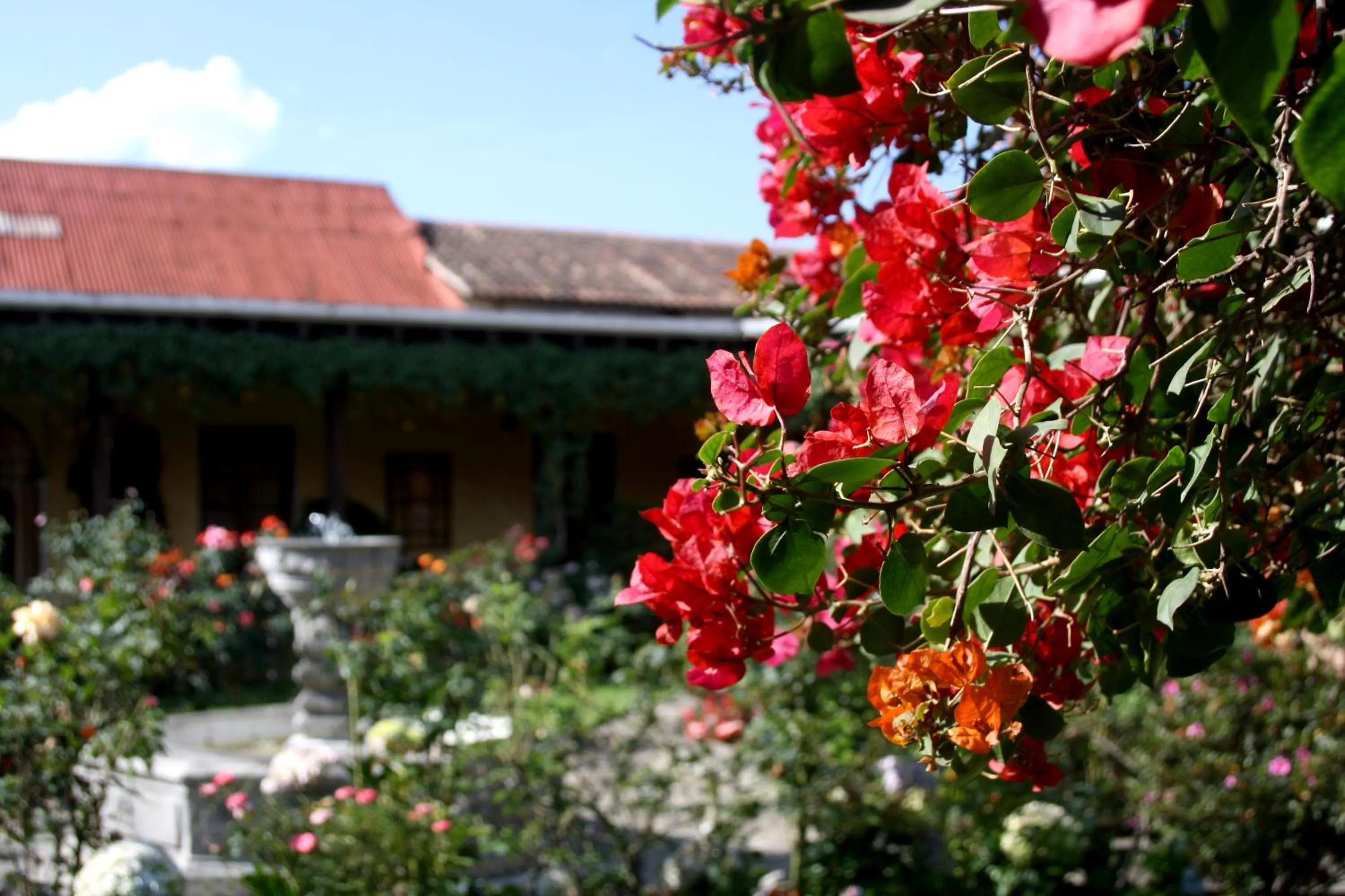Decorative detail in Hotel Aurora
