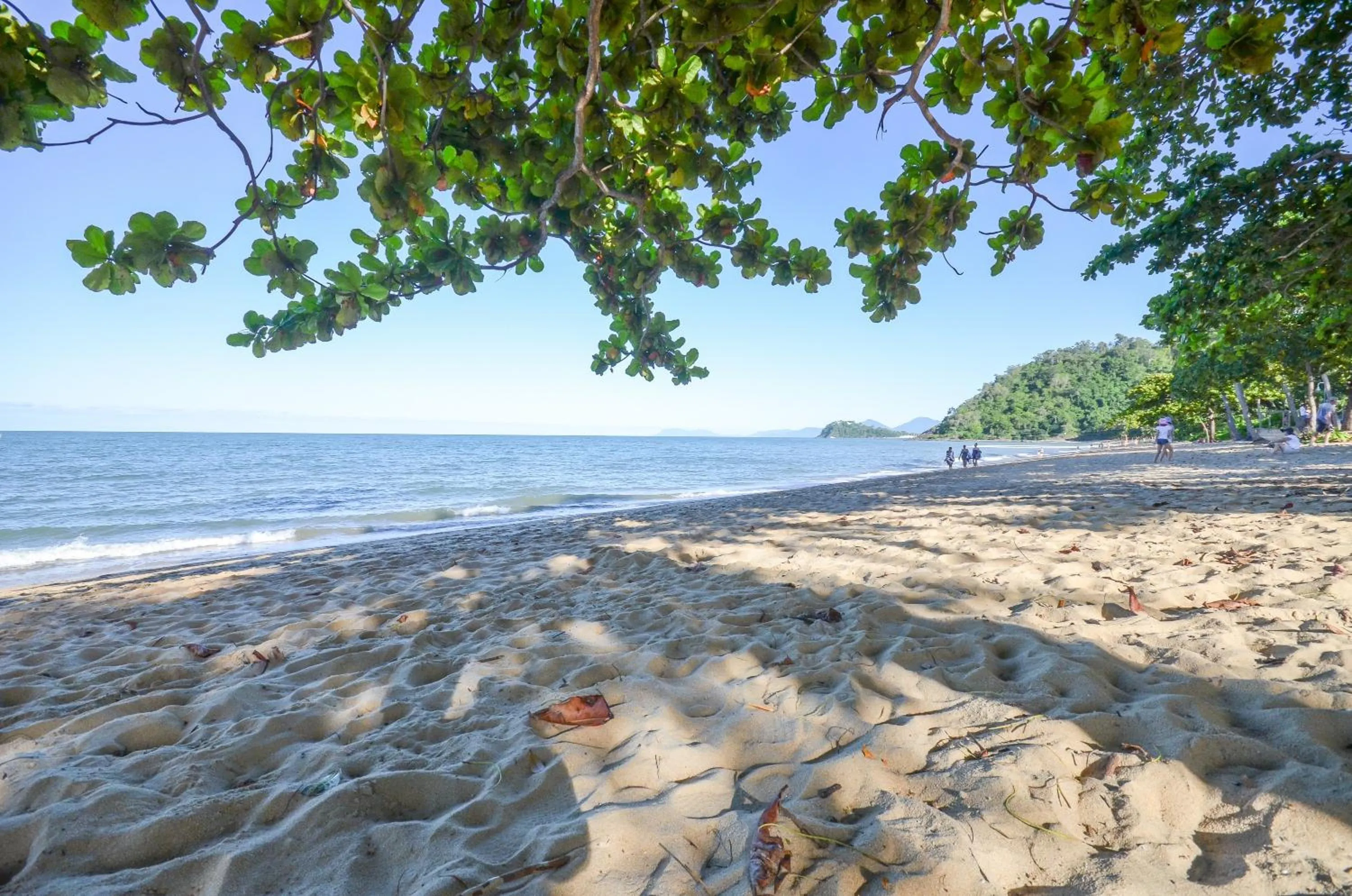 Day in Roydon Beachfront Apartments