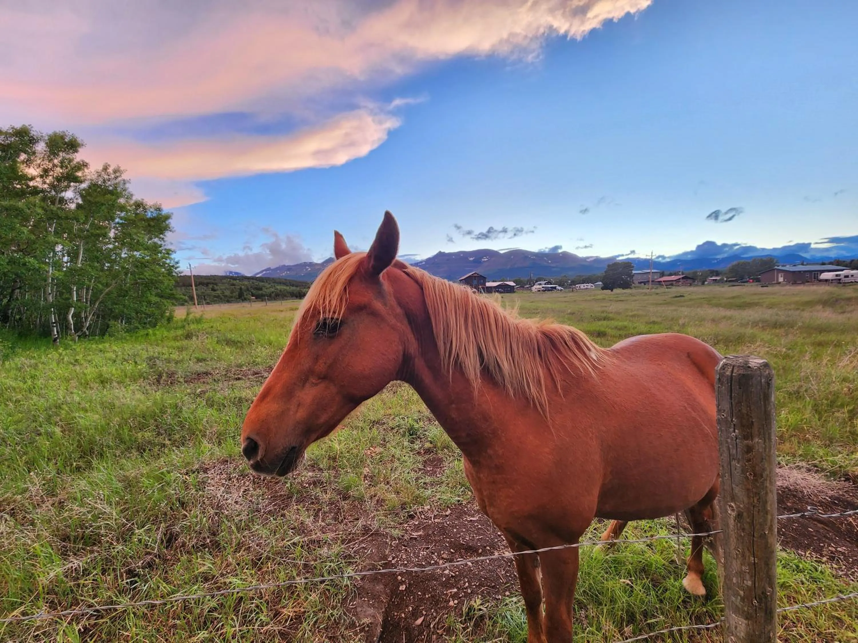 Day in Circle R Motel