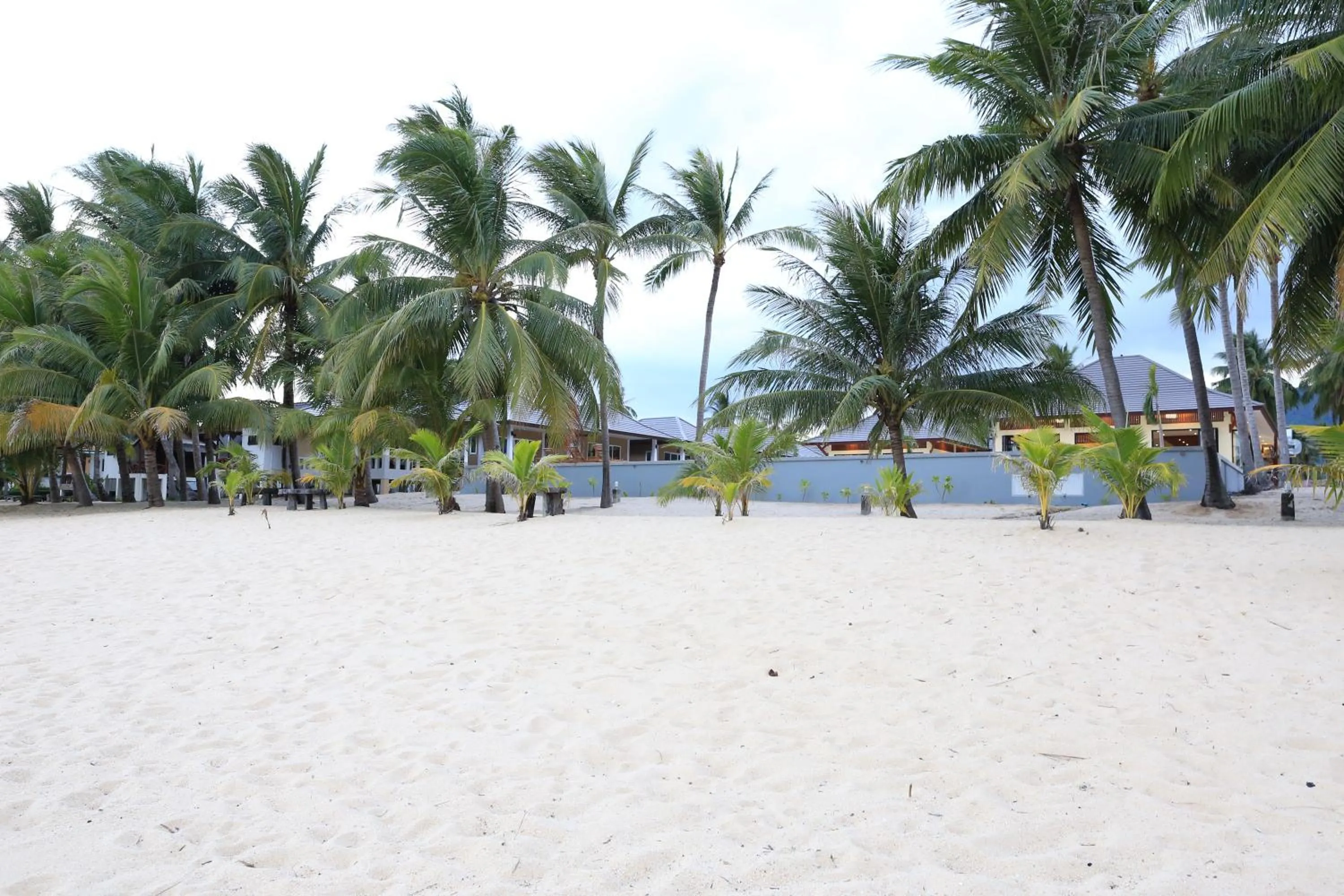 Off site in Shangrilah Bungalow