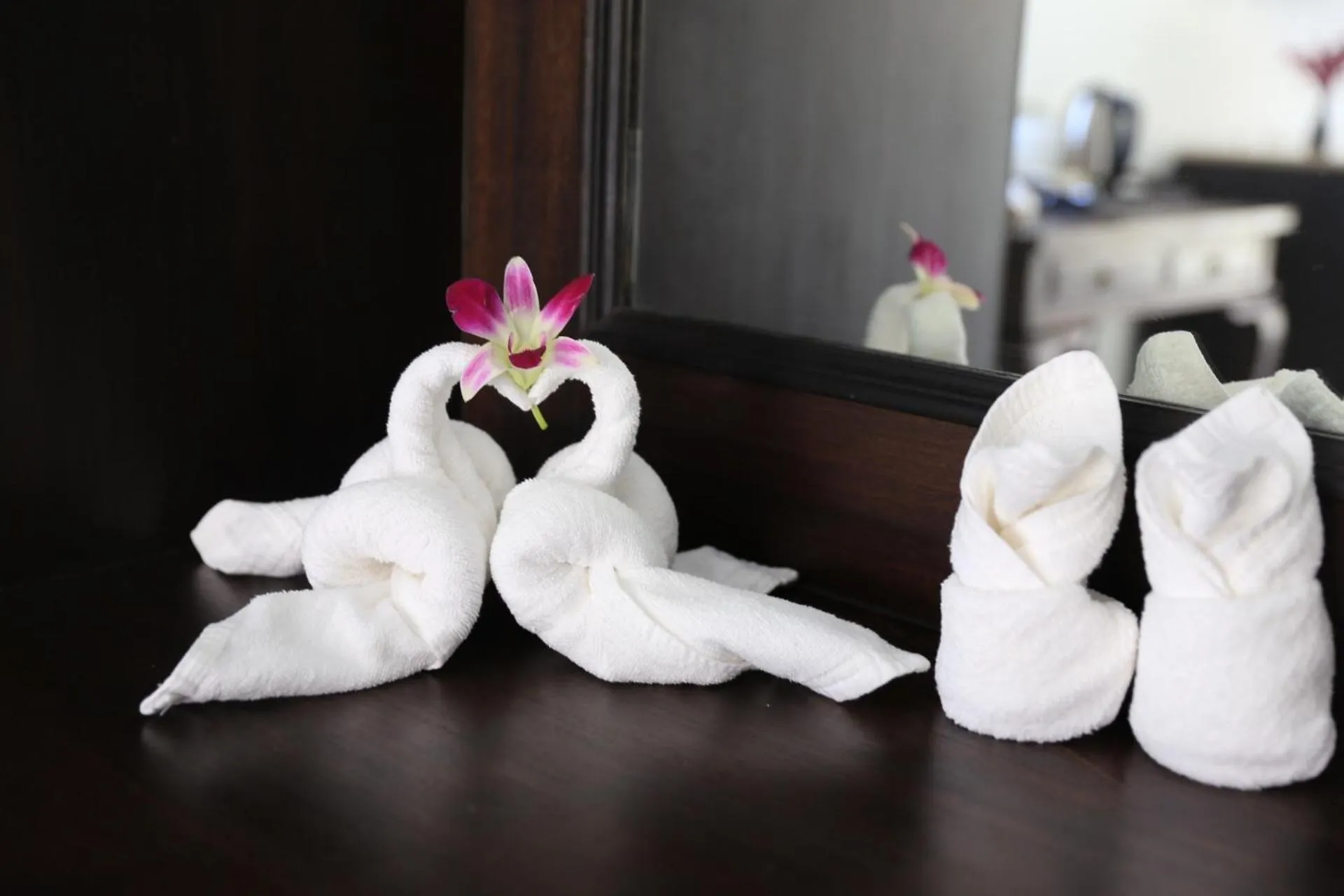 Photo of the whole room in Shangrilah Bungalow