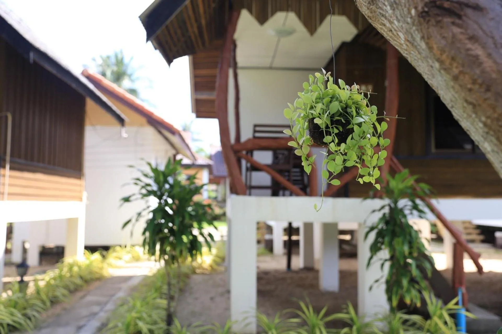 Natural landscape in Shangrilah Bungalow