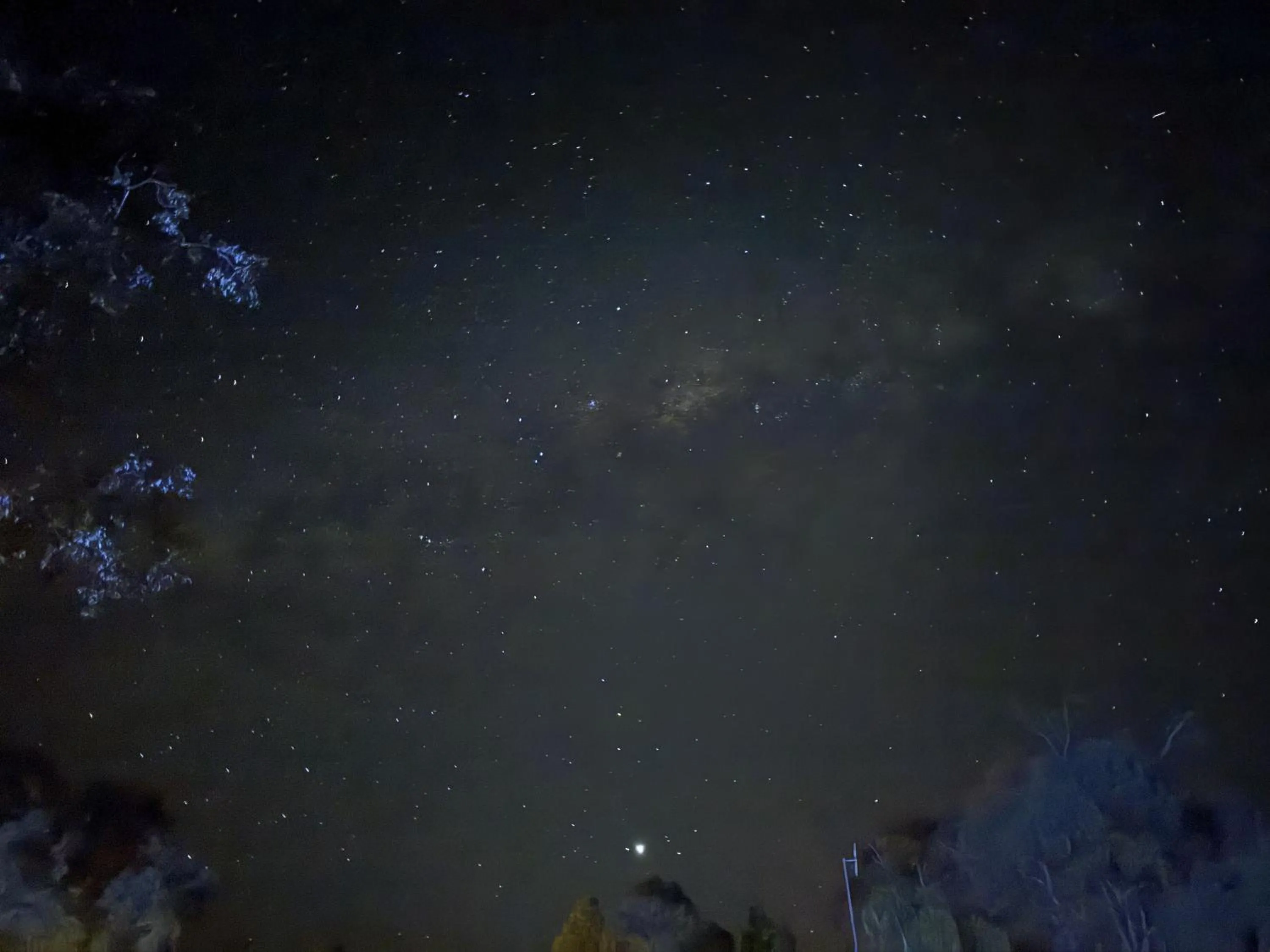 View (from property/room) in Mu S Boutique Motel "Matthew Flinders"