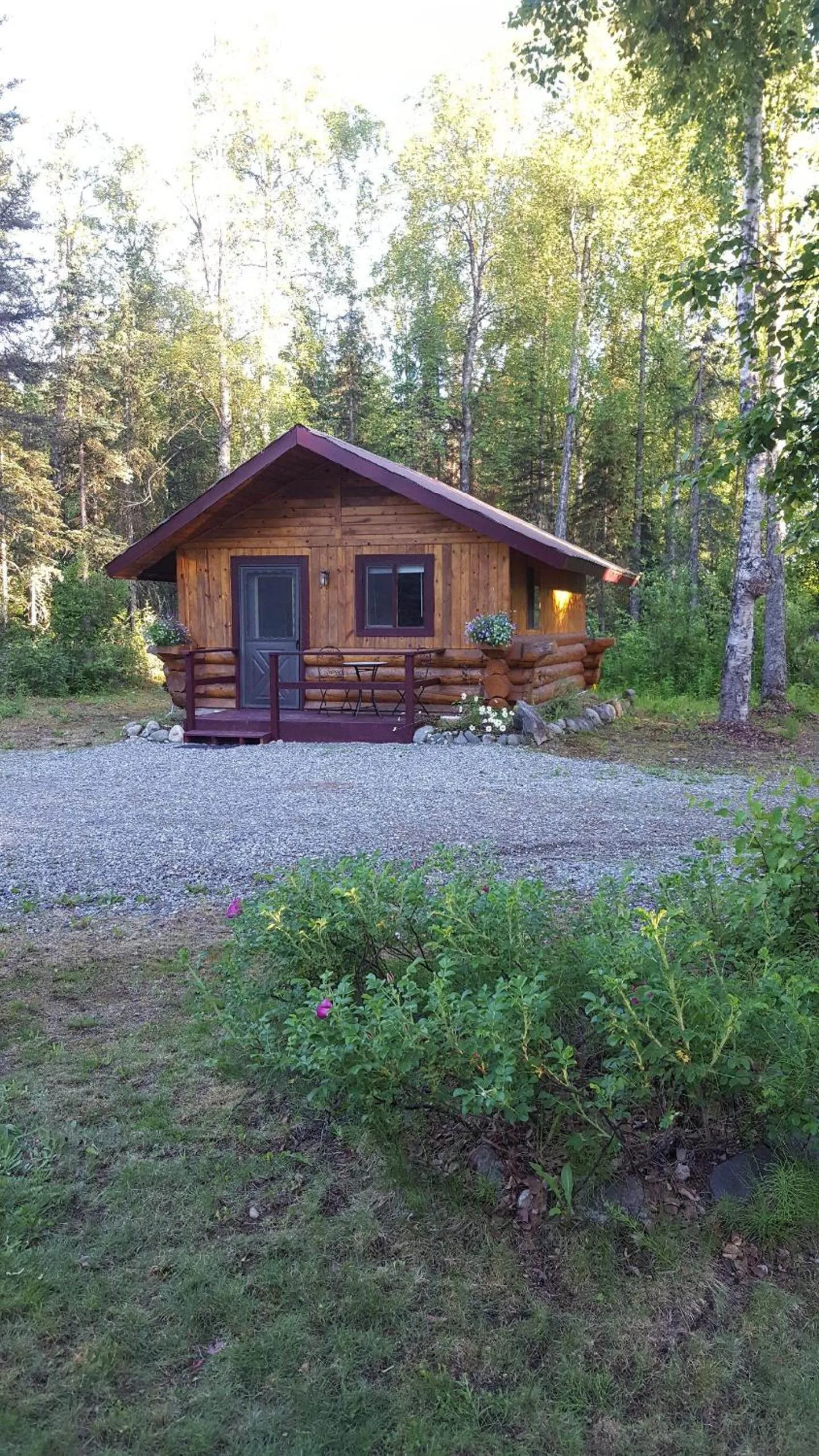 Talkeetna Fireweed Cabins