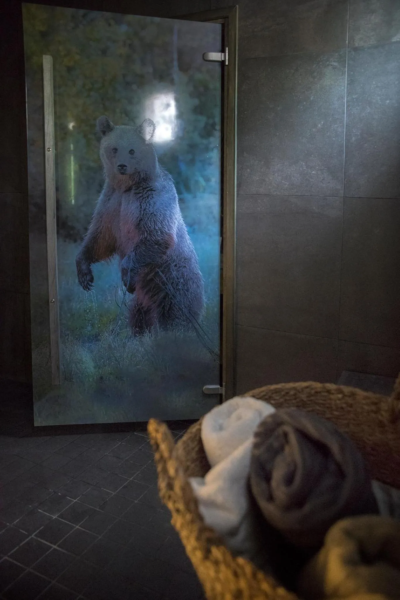 Sauna in Boutique hotel Sawohouse