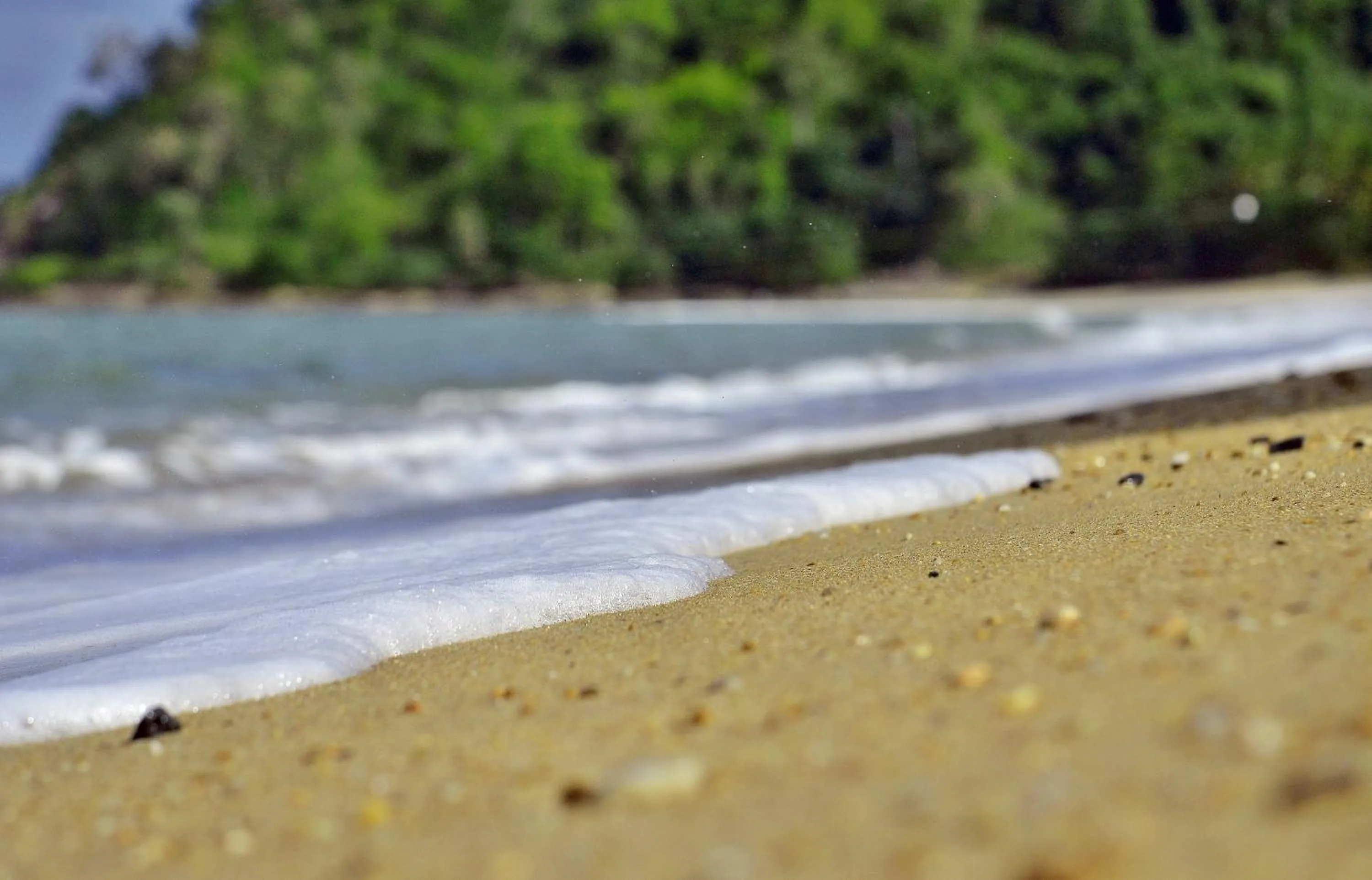 Beach in Beachfront Apartments on Trinity Beach