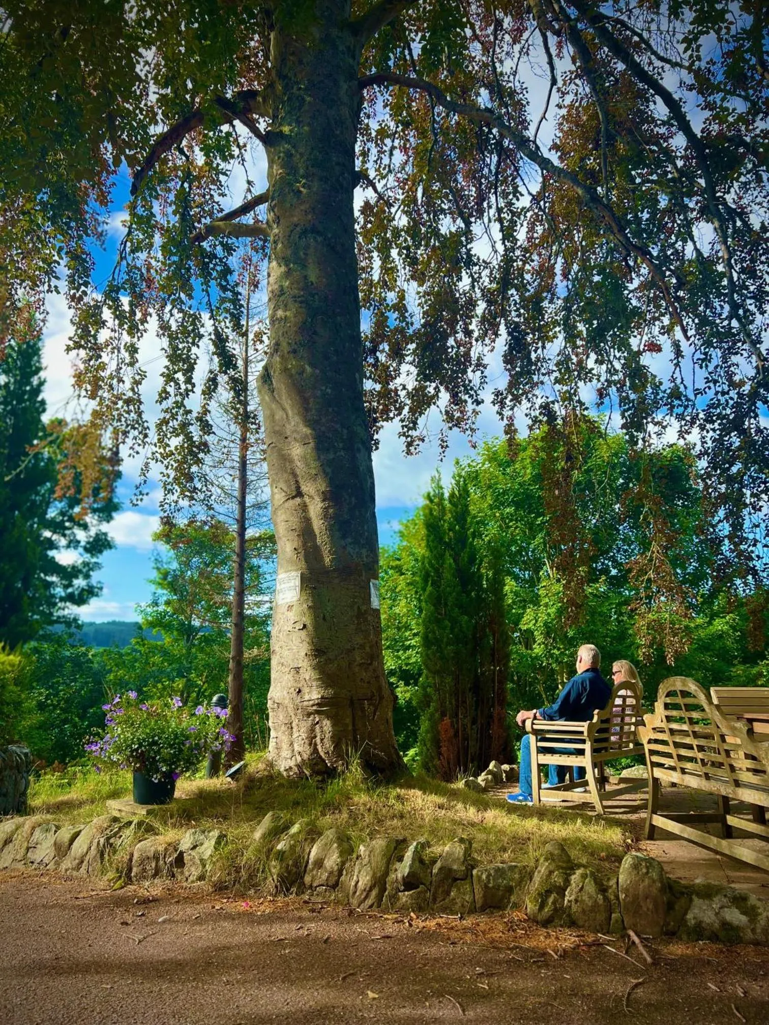 Property building in Loch Ness Lodge Hotel