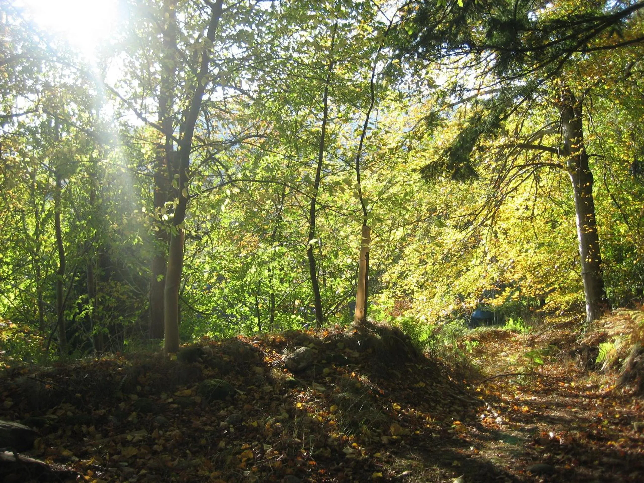 Area and facilities in Loch Ness Lodge Hotel