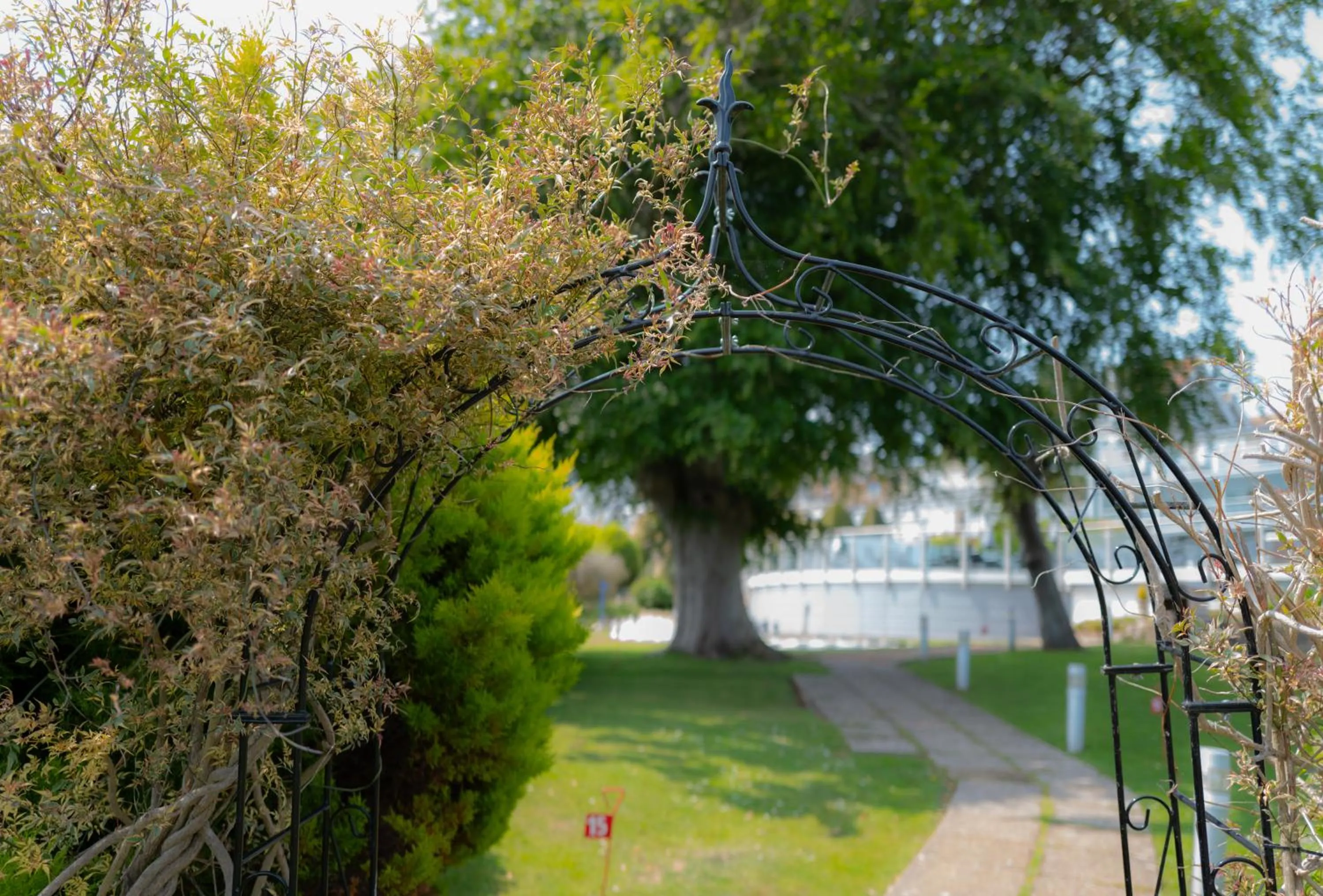 Garden in Luccombe Hall Hotel