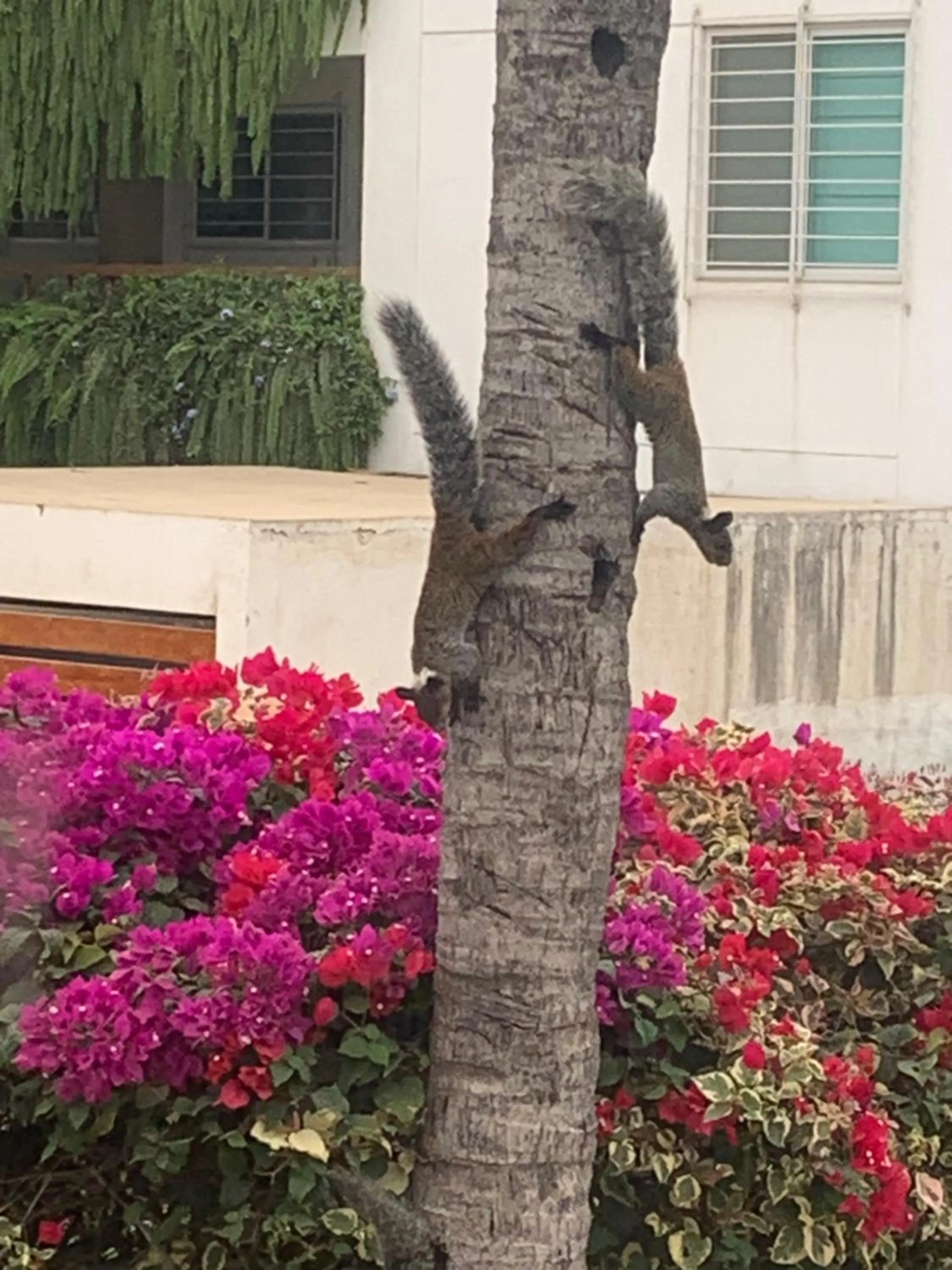 Spring in Hosteria Punta Blanca