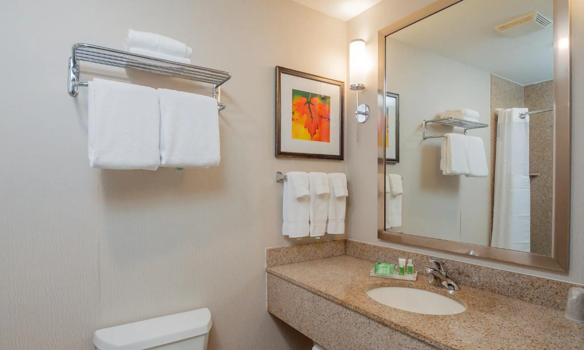Bathroom in Holiday Inn Stevens Point - Convention Center by IHG