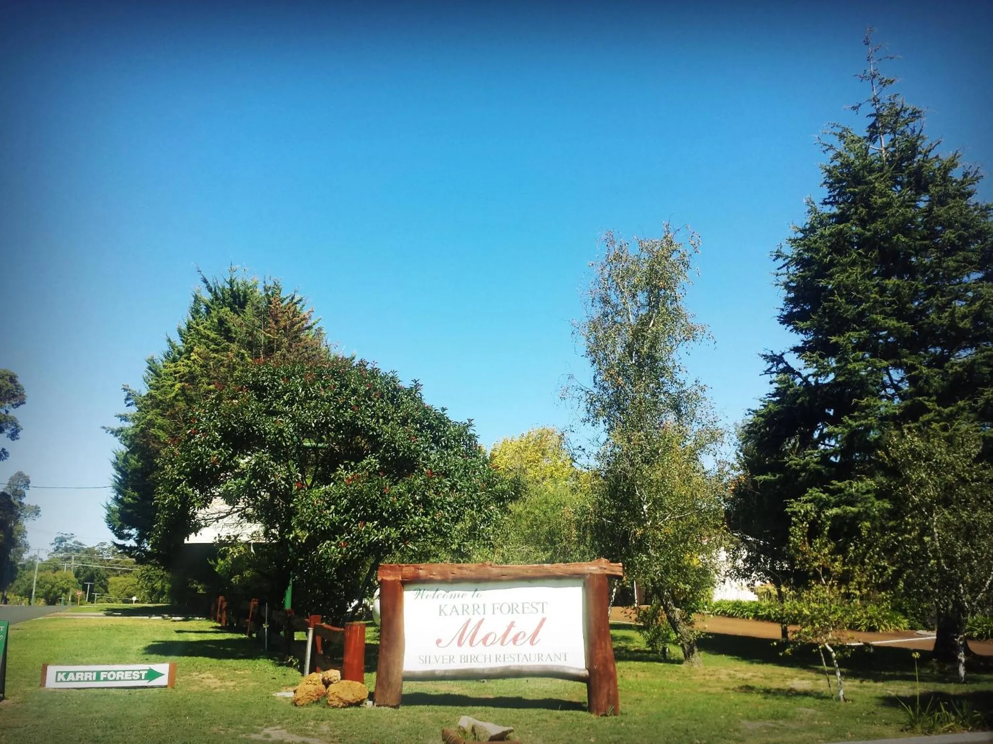 Day in Karri Forest Motel