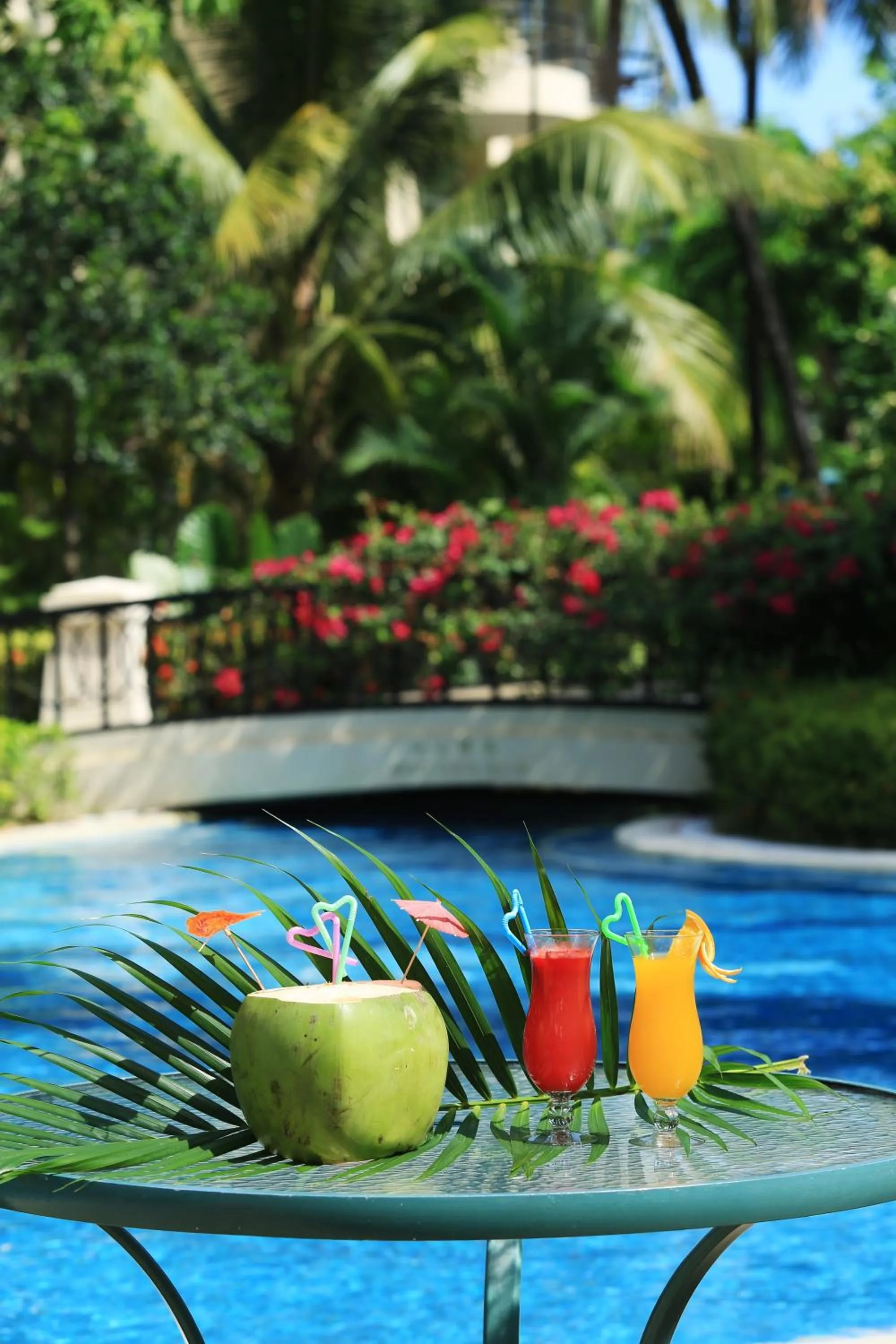 Swimming pool in Palm Beach Resort & Spa