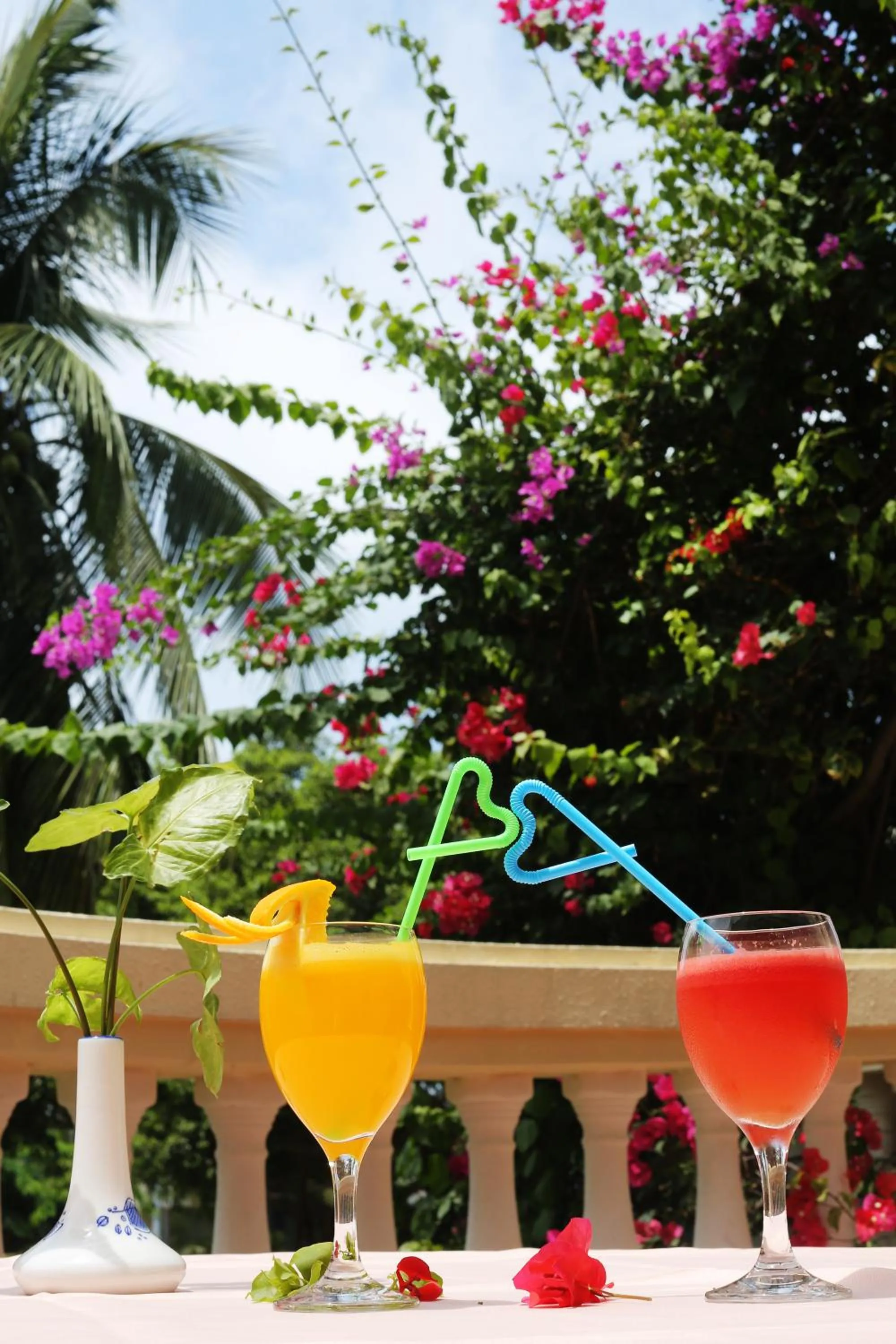 Other in Palm Beach Resort & Spa