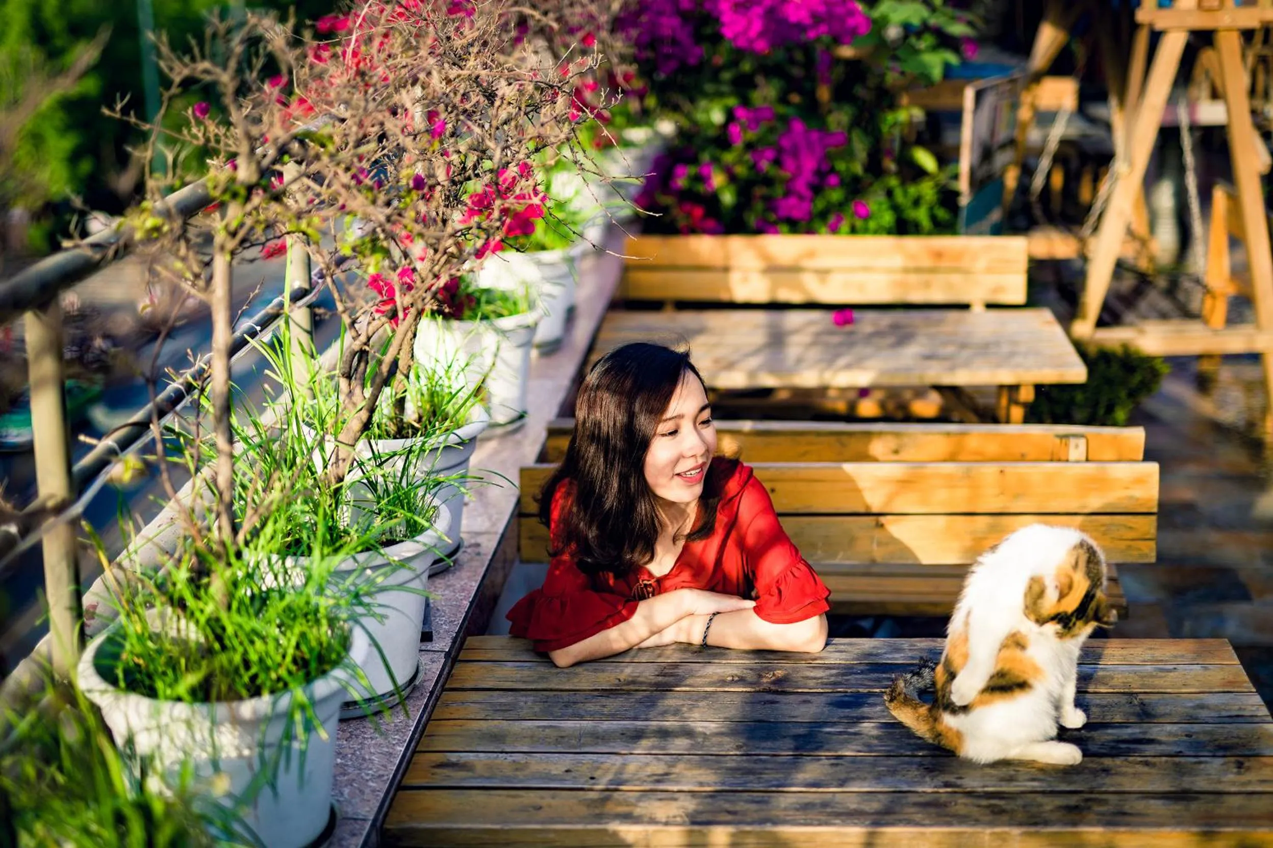 Chengdu Dreams Travel International Youth Hostel