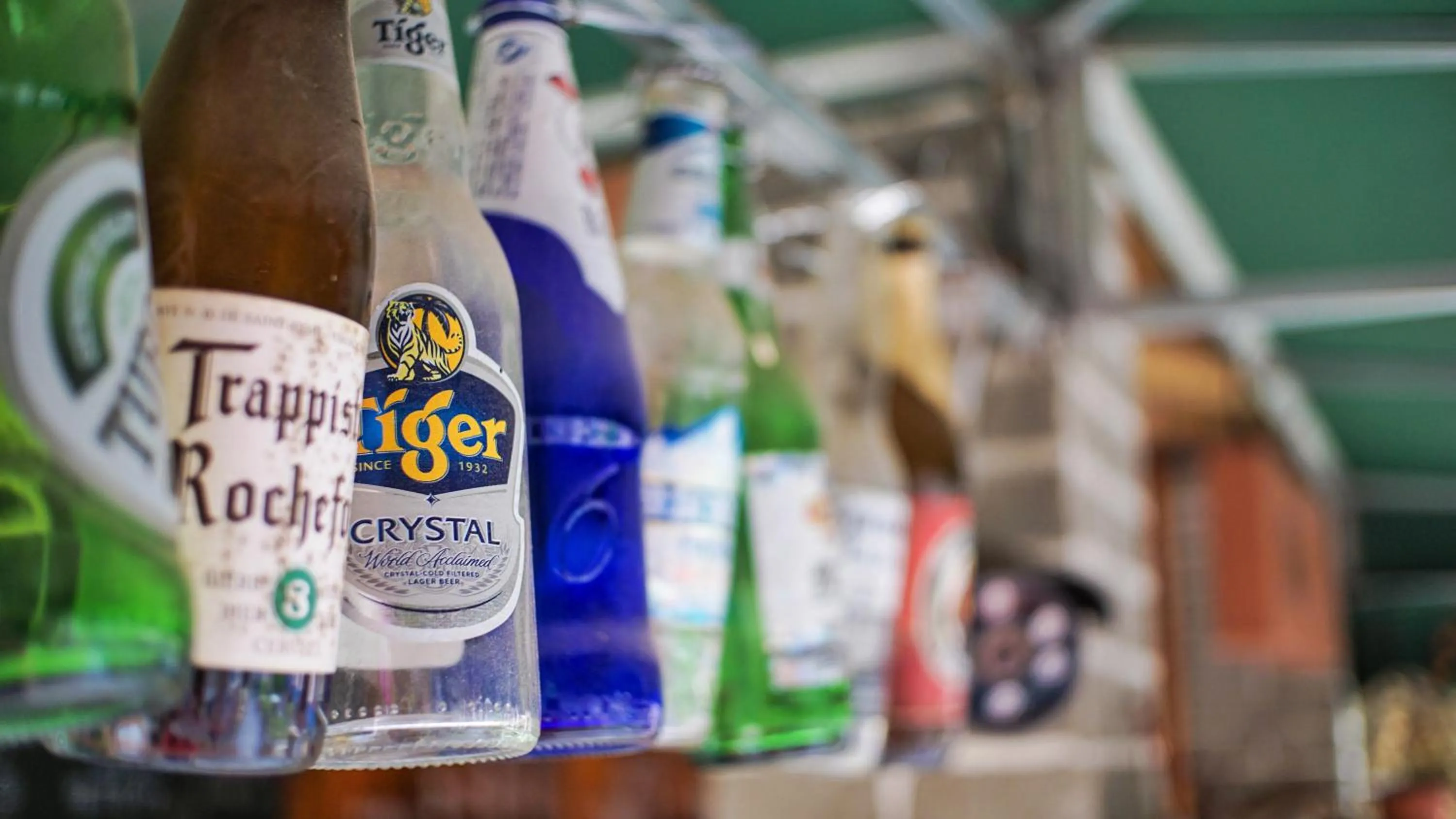 Chengdu Dreams Travel International Youth Hostel