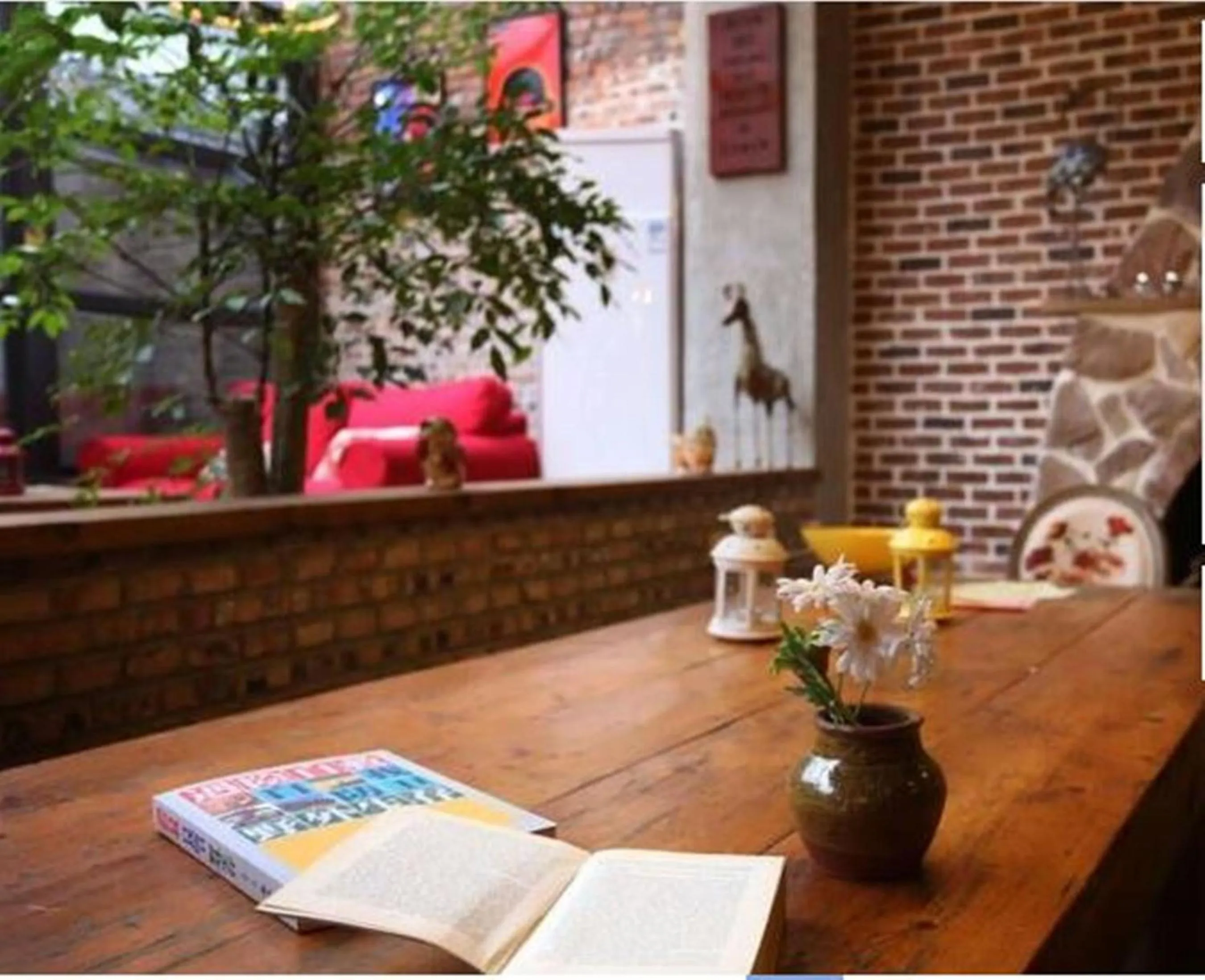 Library in Chengdu Dreams Travel International Youth Hostel