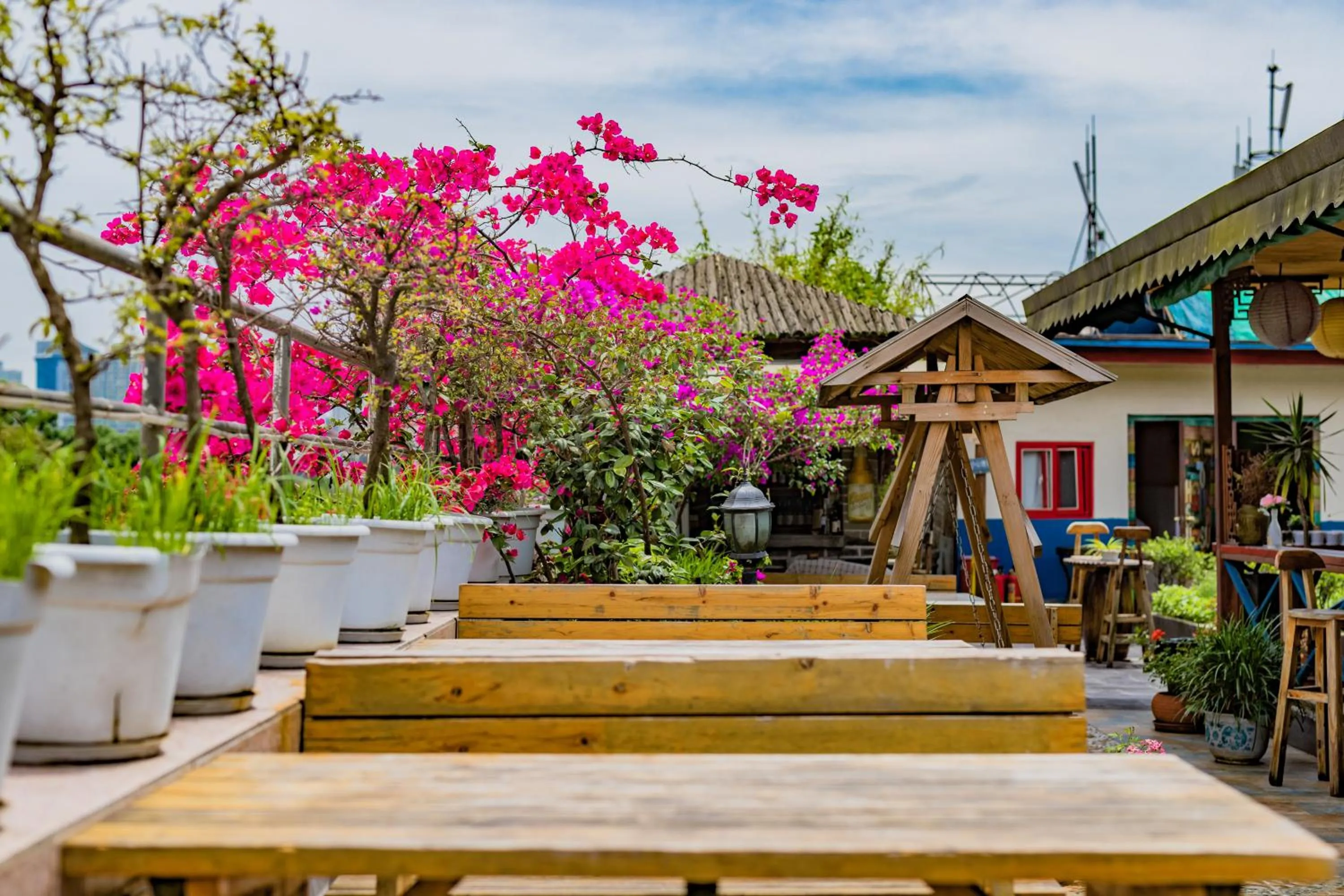 Chengdu Dreams Travel International Youth Hostel